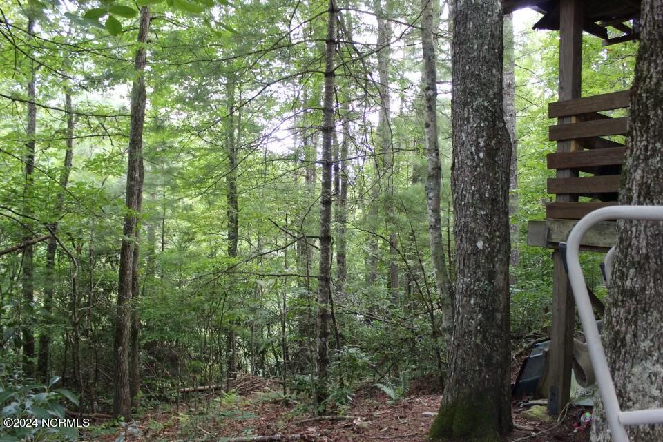 574 Pine Creek Road Property Photo 18