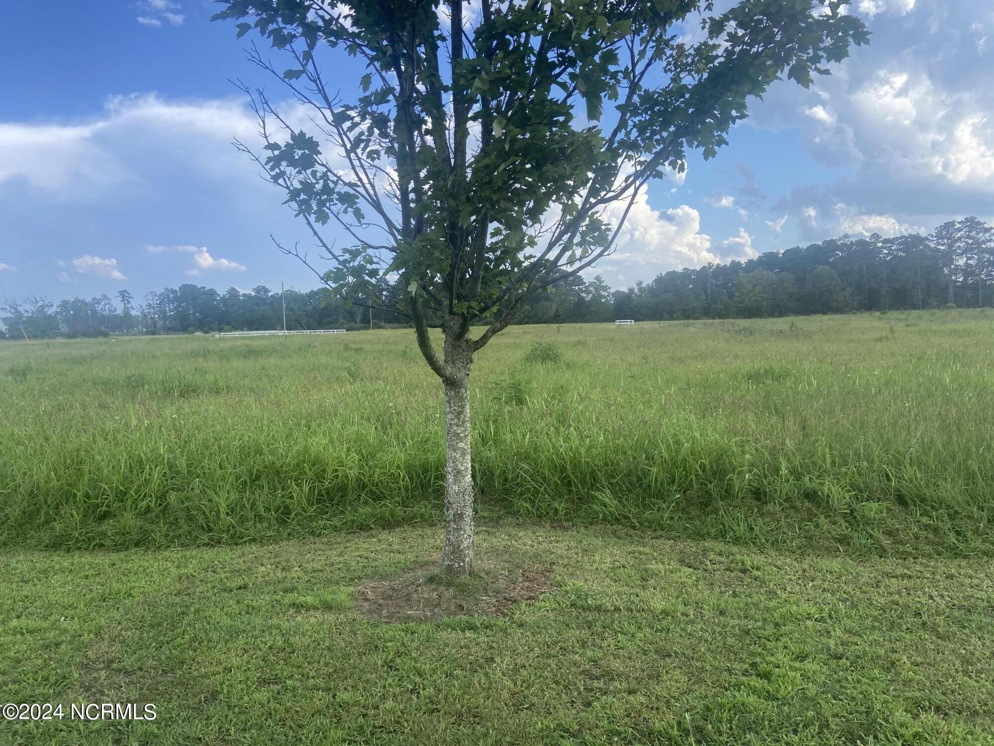 Lot 82 Dallas Paul Road Property Photo 4
