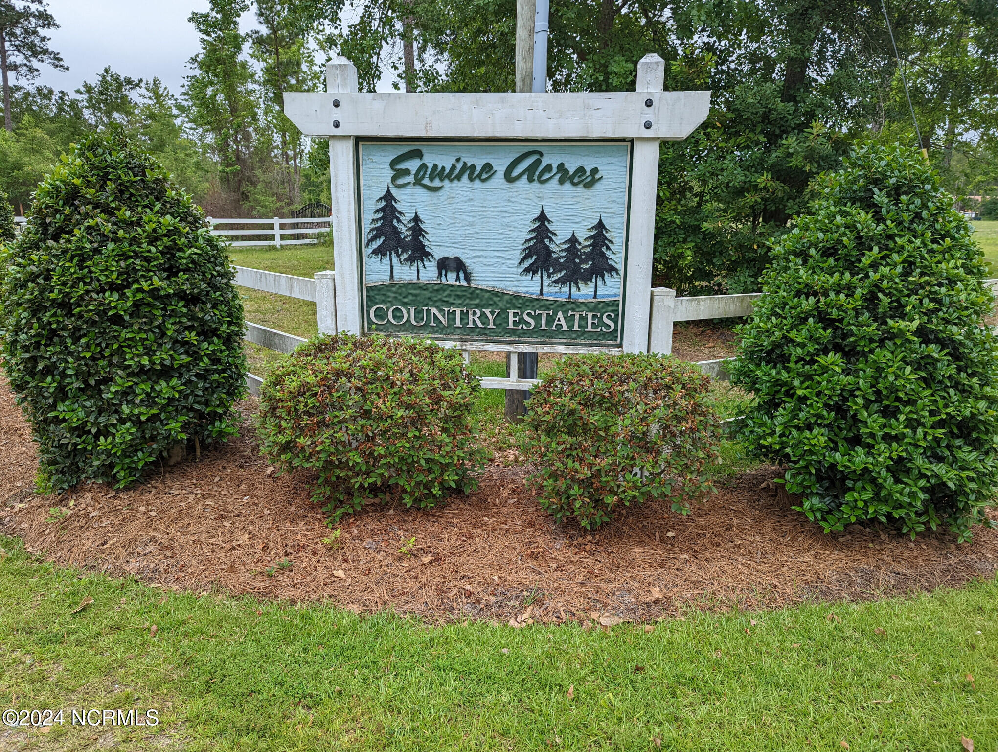 Lot 13 Equine Acres State 210 Highway Property Photo 3