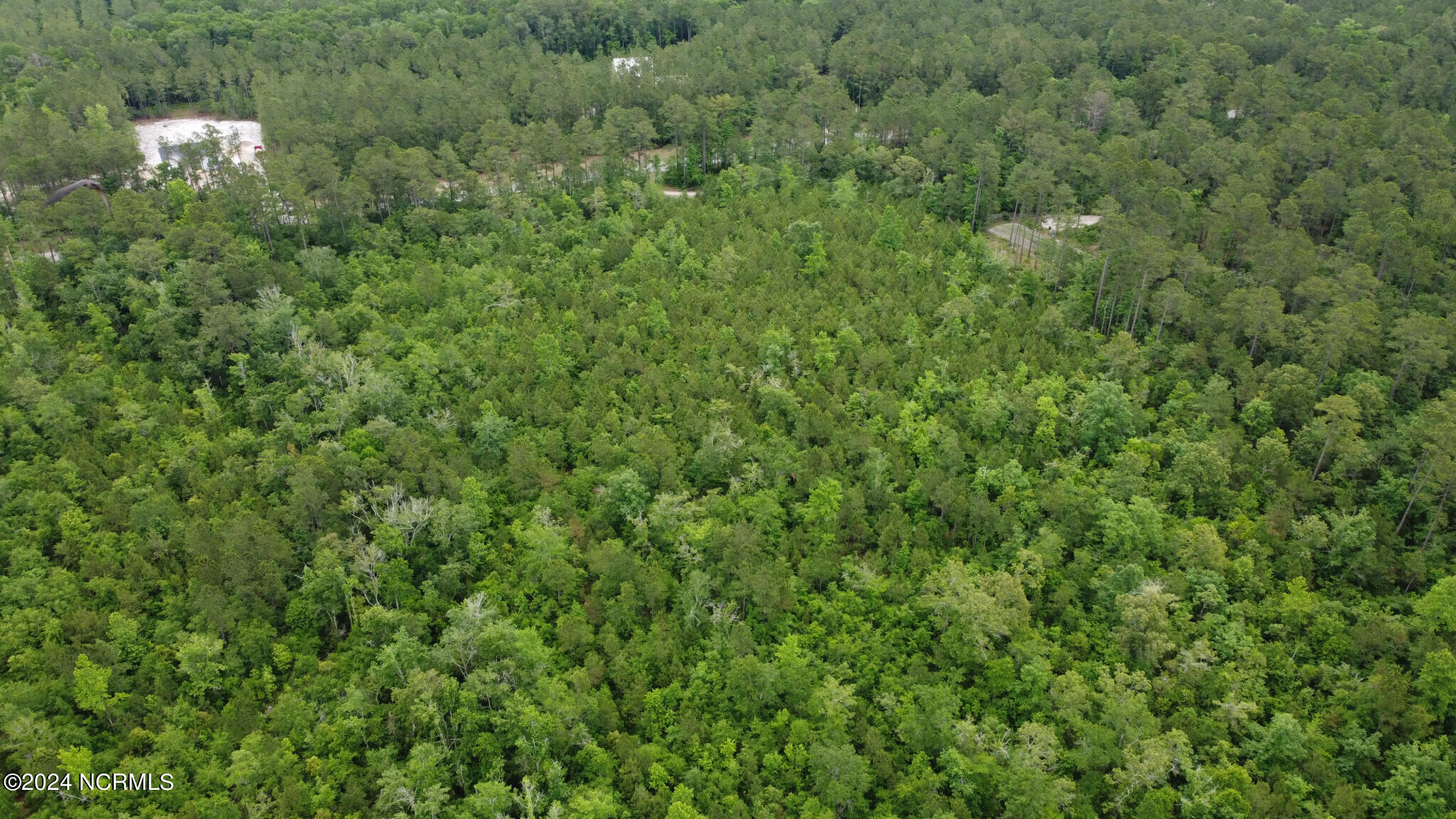 Lot 13 Equine Acres State 210 Highway Property Photo 6