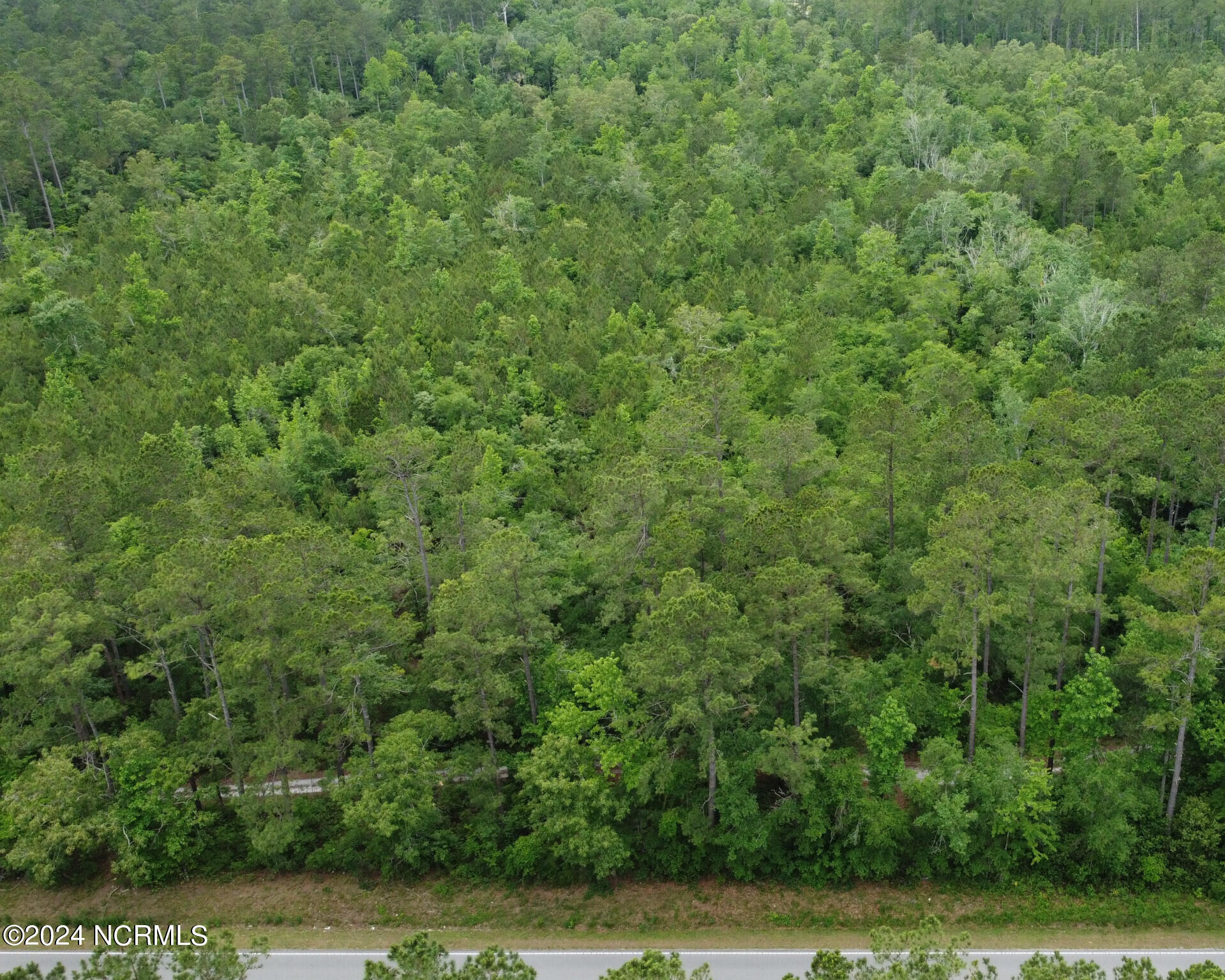 Lot 13 Equine Acres State 210 Highway Property Photo 7