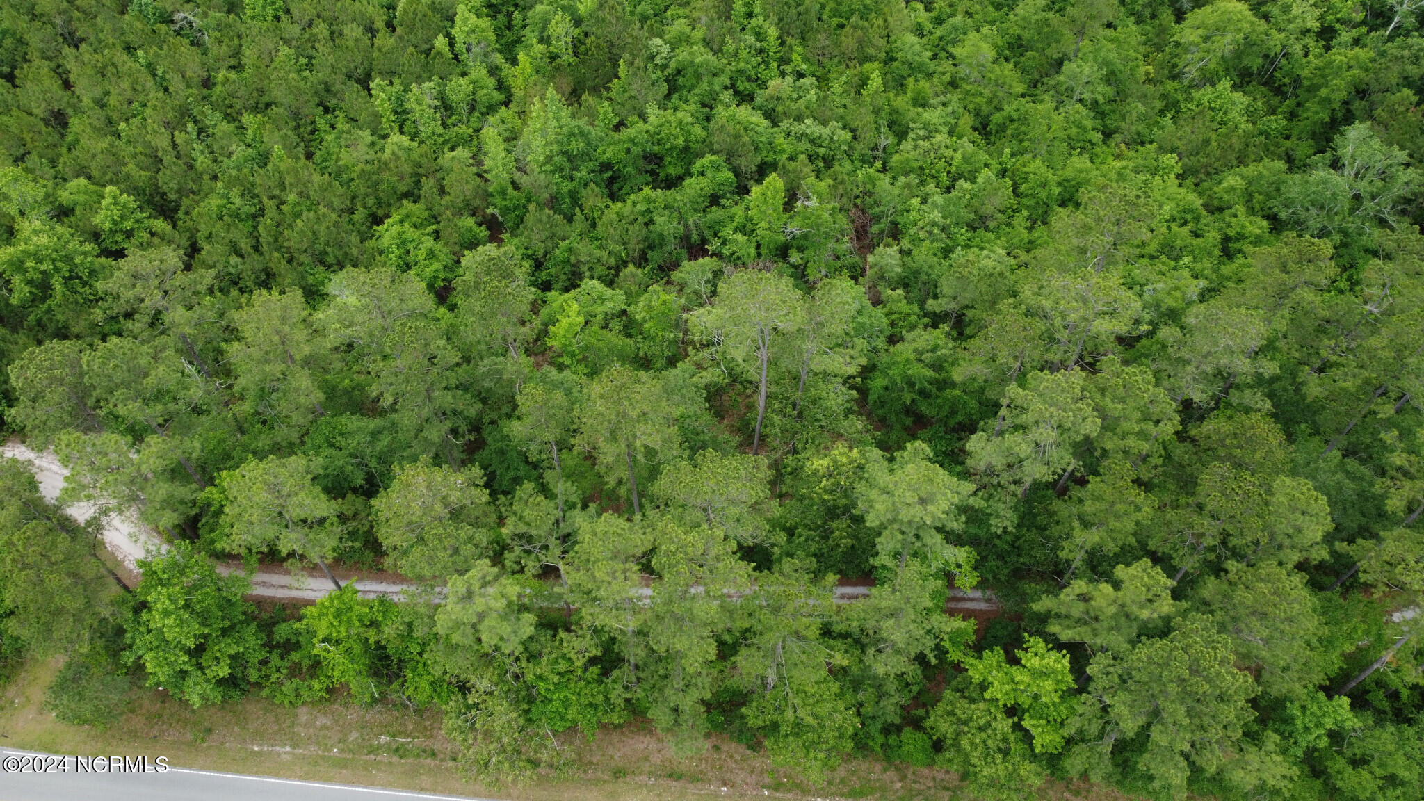 Lot 13 Equine Acres State 210 Highway Property Photo 10