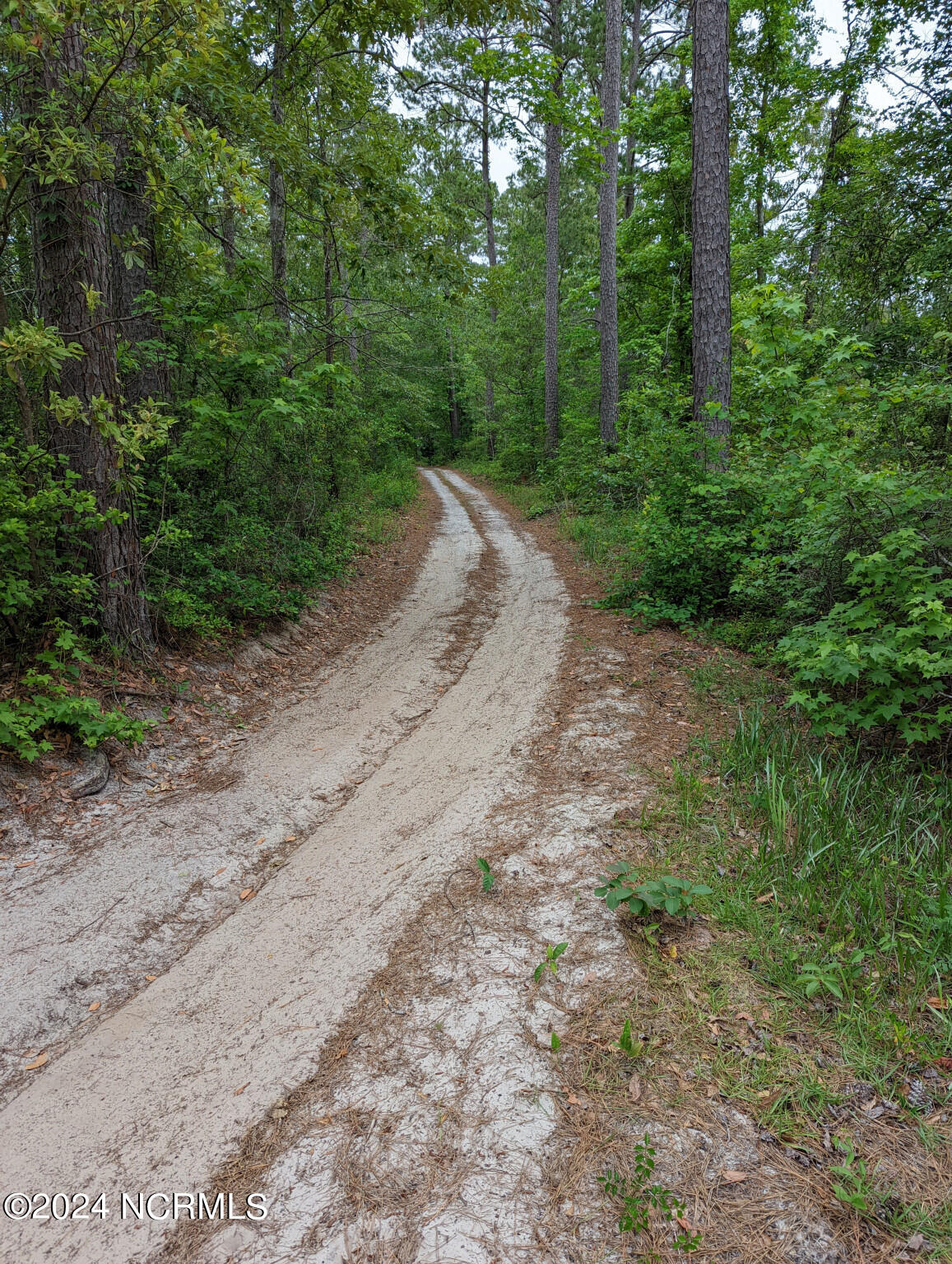 Lot 13 Equine Acres State 210 Highway Property Photo 11