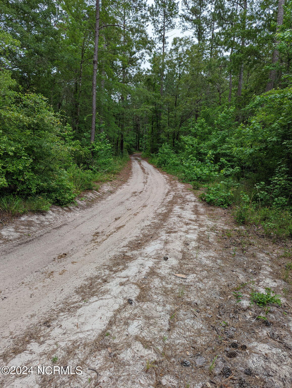 Lot 13 Equine Acres State 210 Highway Property Photo 12