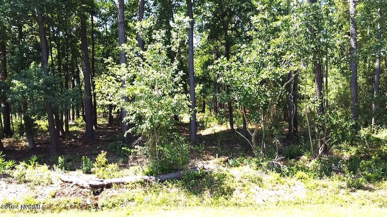 Lot 52 Windemere Drive Property Photo 1
