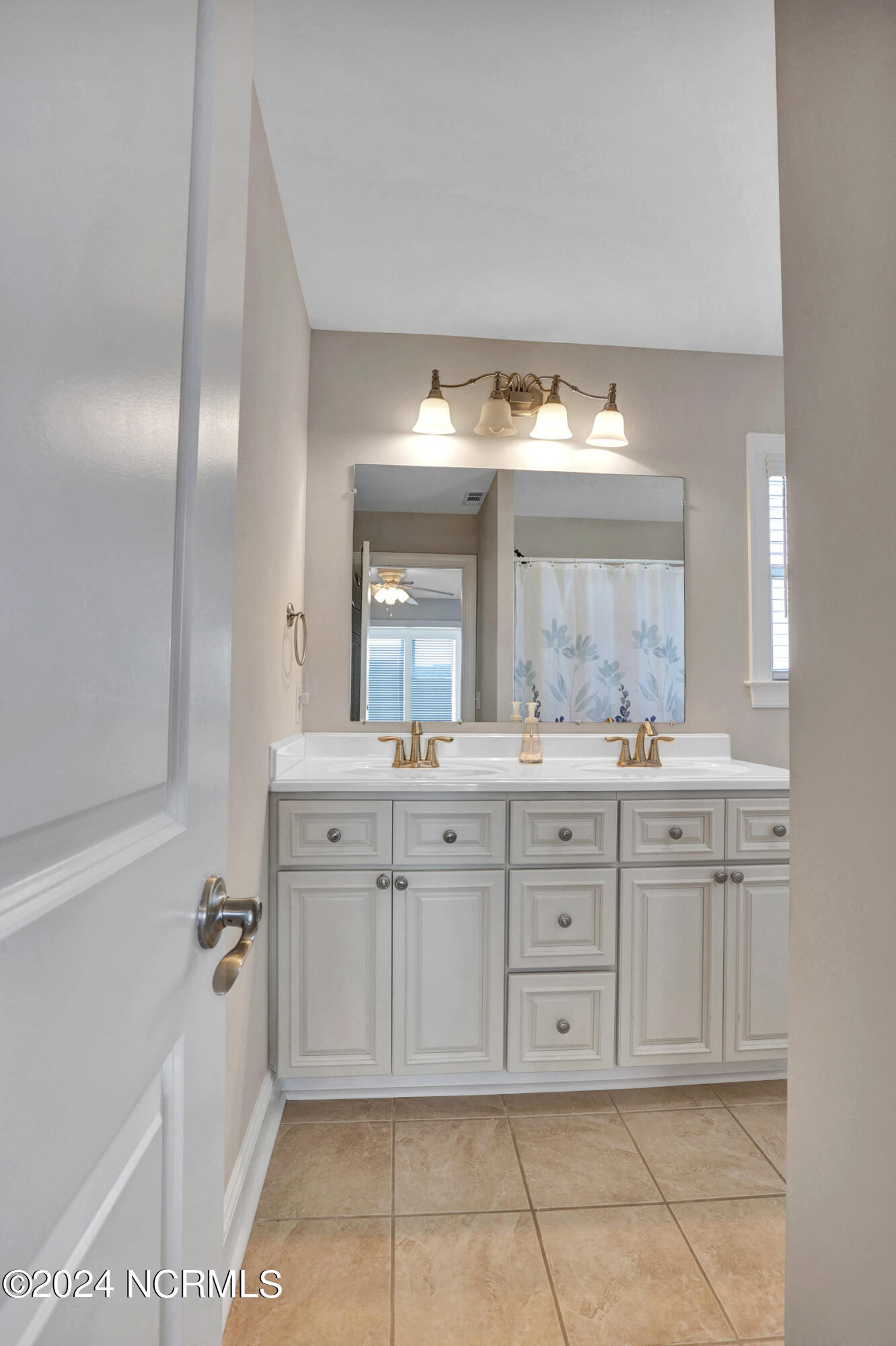 1018 W Dolphin Drive Property Photo 61