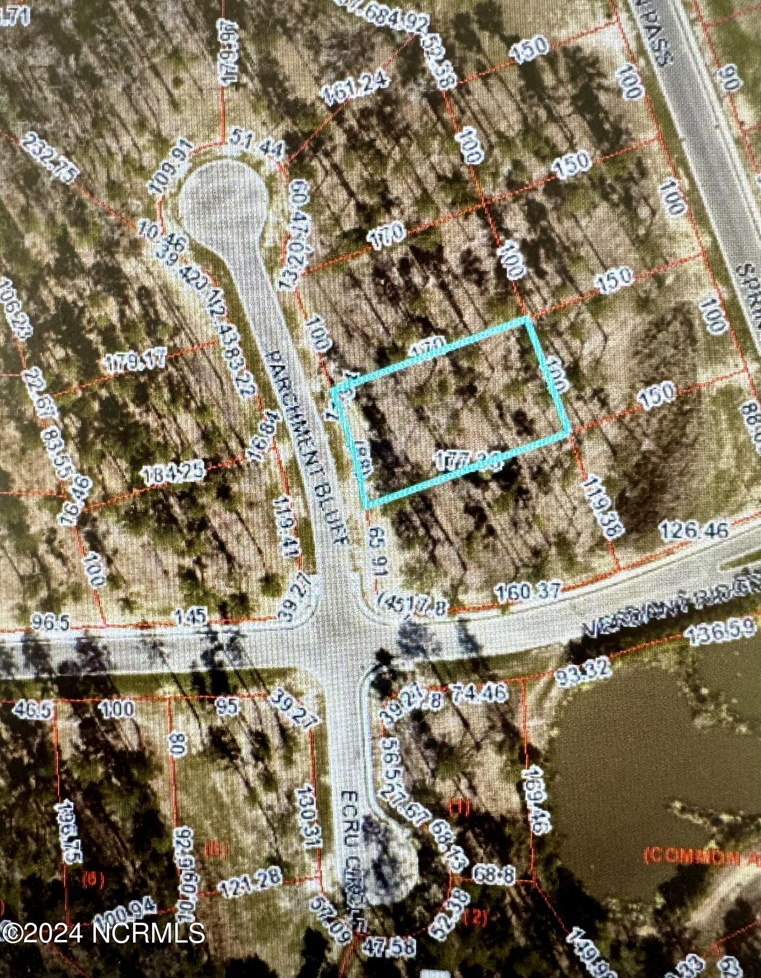 1002 Parchment Bluff Property Photo 1