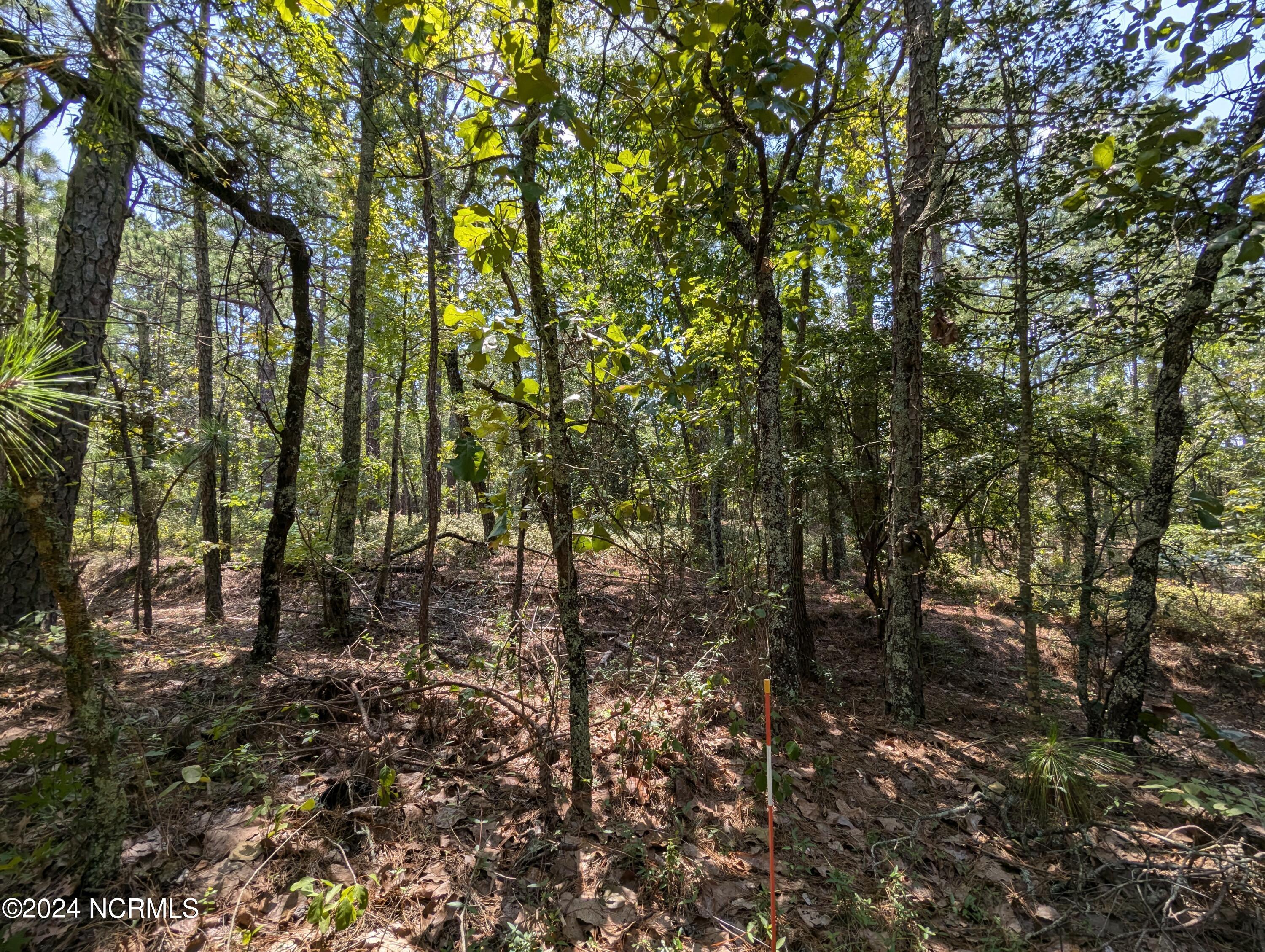 445 166 Thimbleberry Drive Property Photo 1