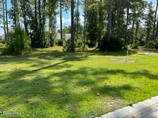 1006 Parchment Bluff Property Photo 1