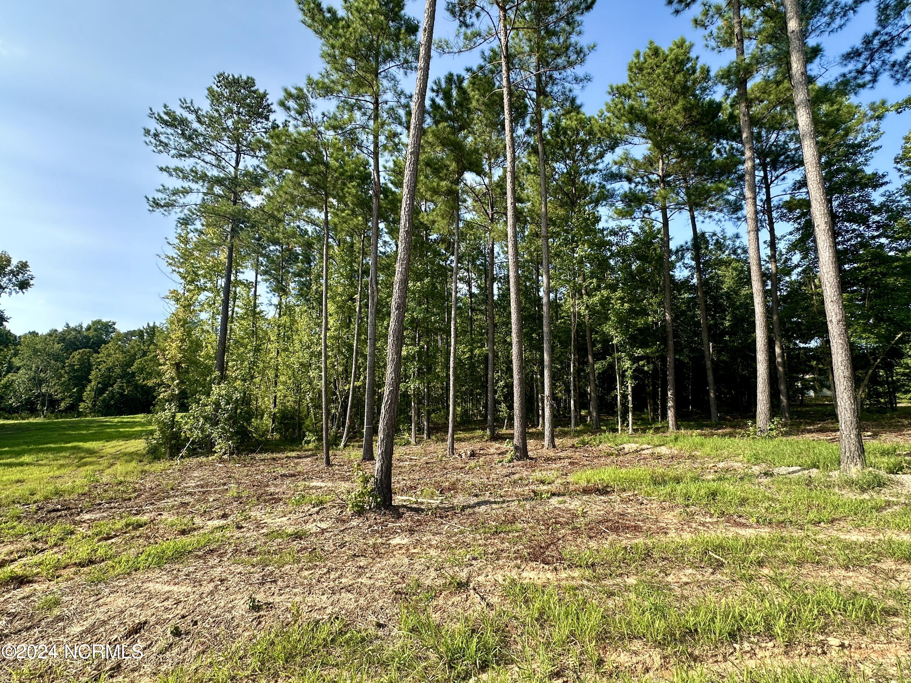 265 Old Eason Road Property Photo 6
