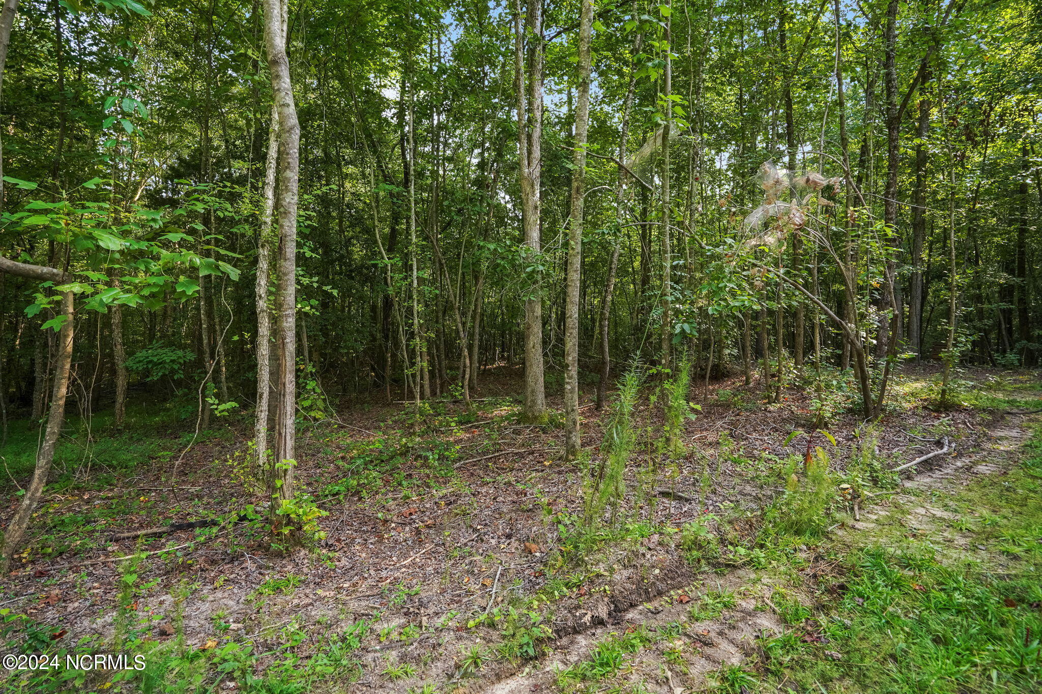 285 Old Eason Road Property Photo 3