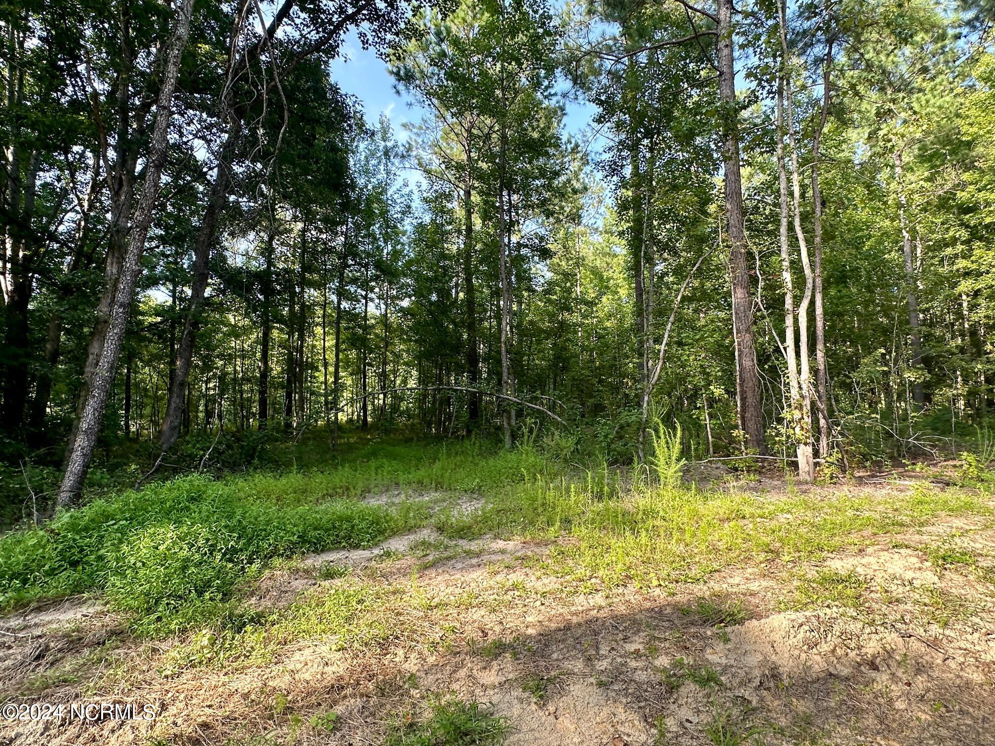 285 Old Eason Road Property Photo 6