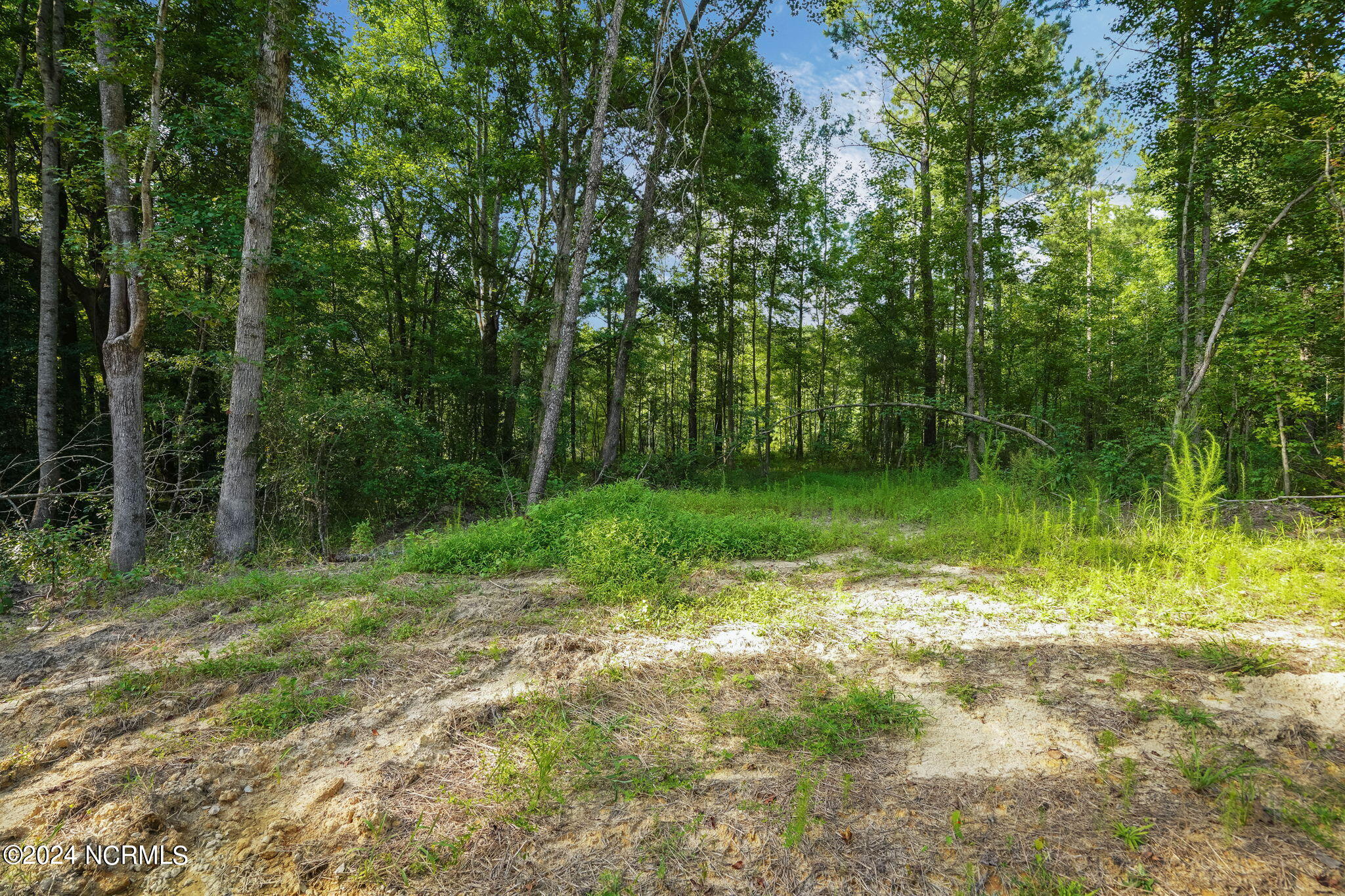 295 Old Eason Road Property Photo 3