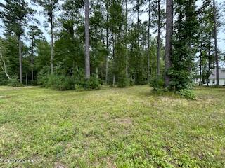 1004 Alabaster Drive Property Photo 3