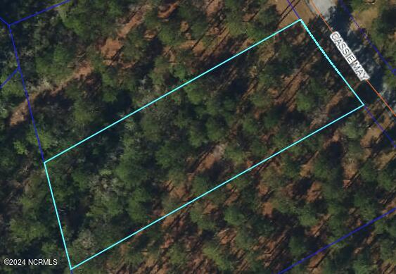 213 Cassie May Boulevard Property Photo 2