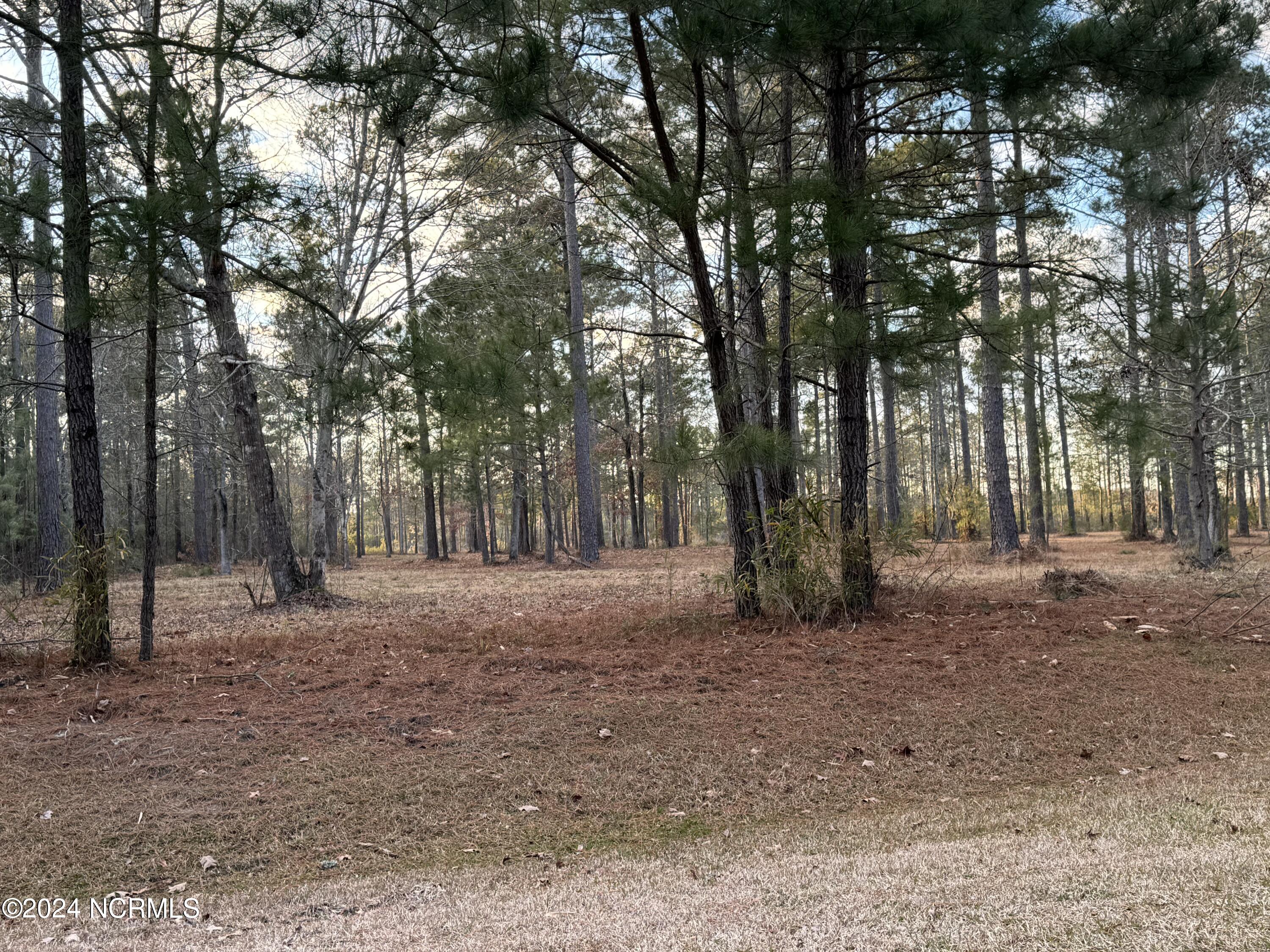 Lot 94 Bailey Pointe Drive Property Photo 3