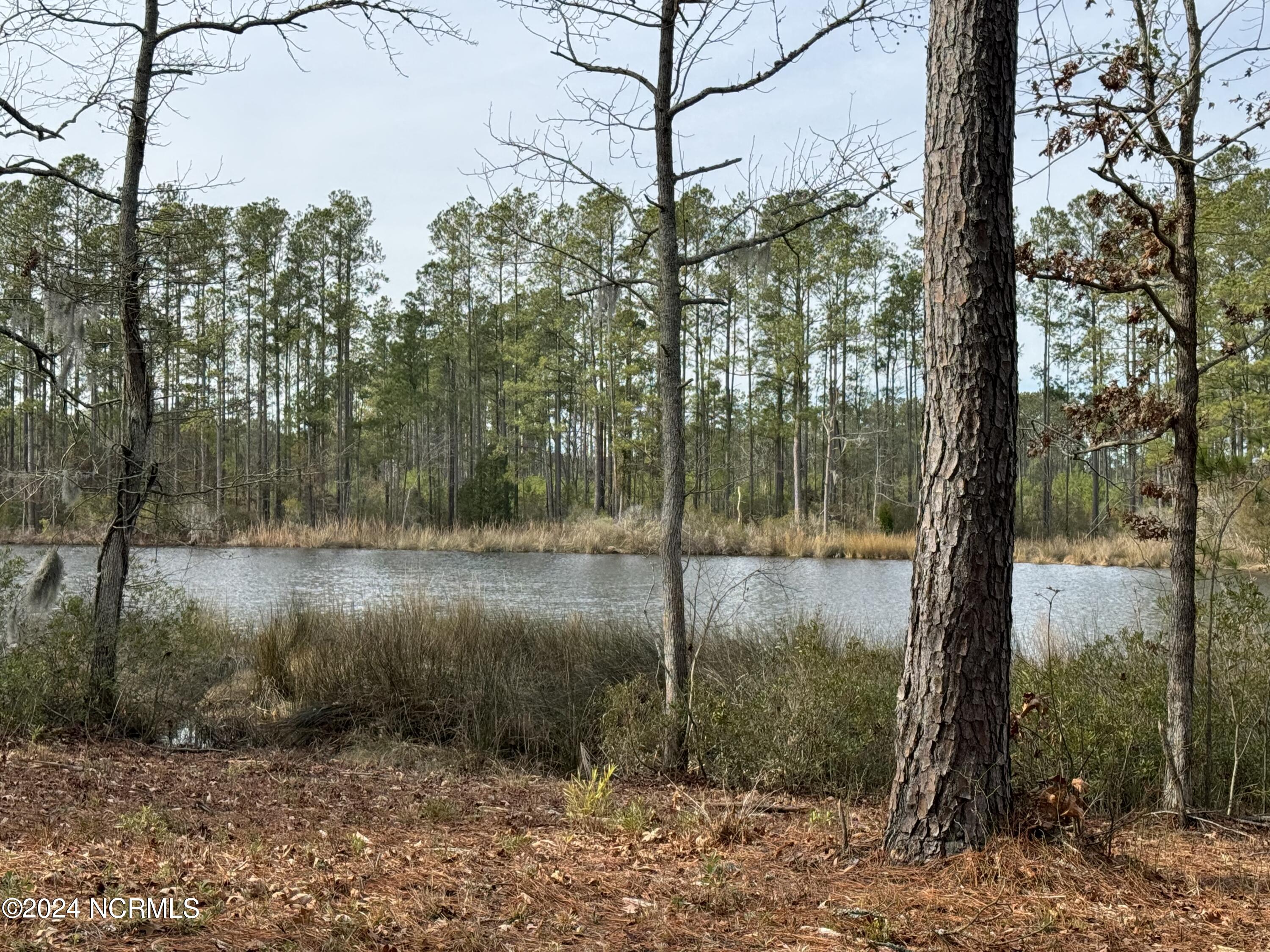 Lot 94 Bailey Pointe Drive Property Photo 5
