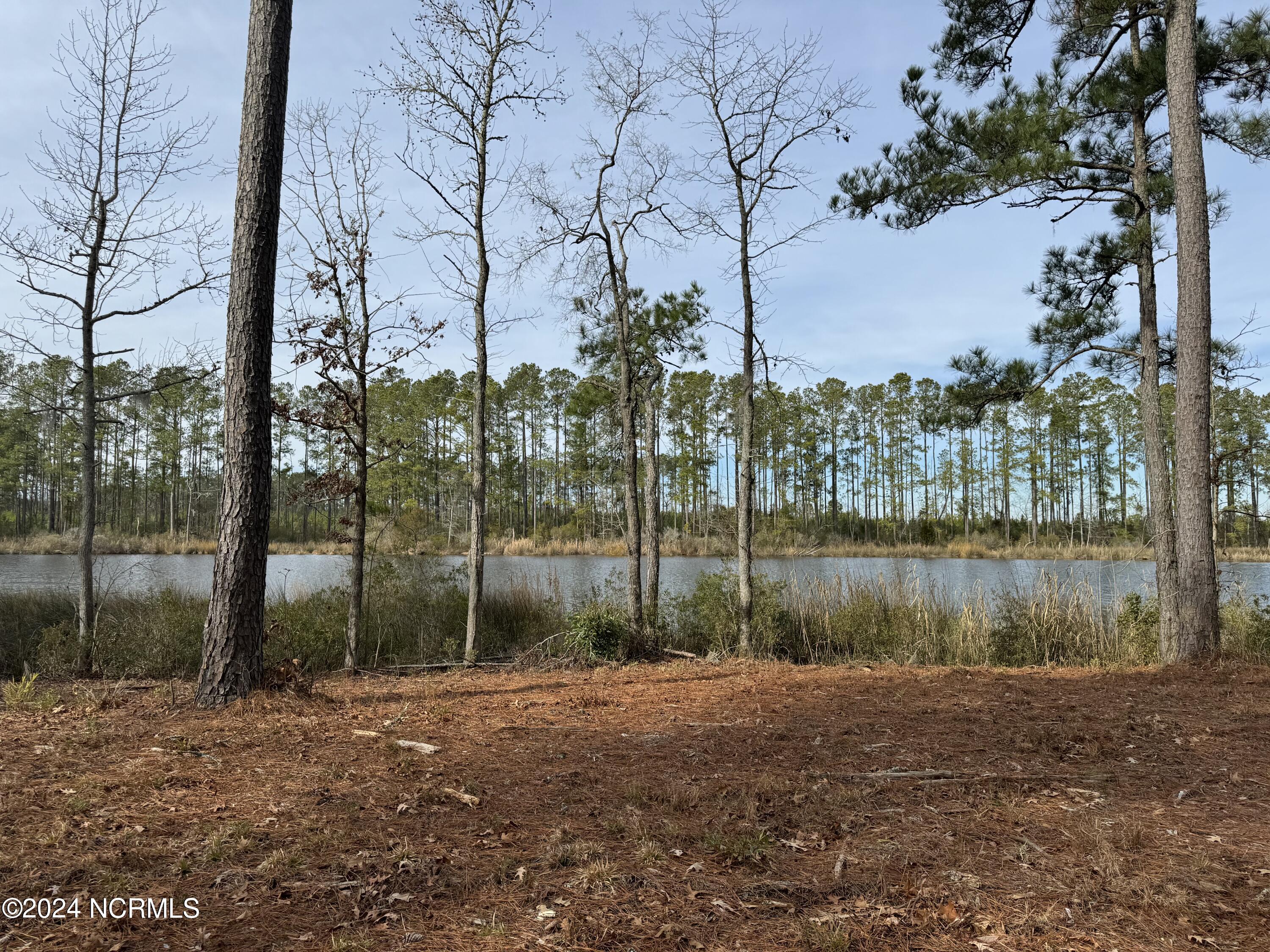 Lot 94 Bailey Pointe Drive Property Photo 6