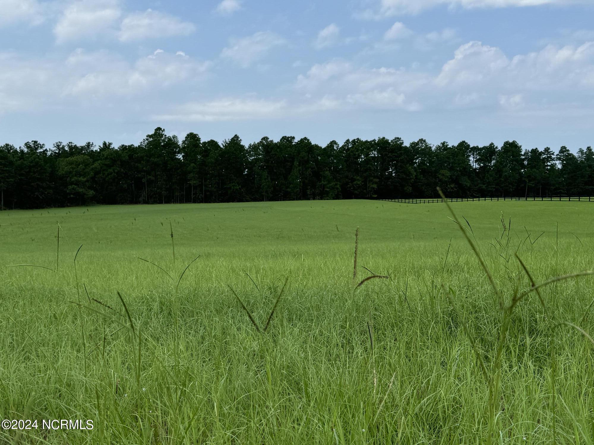 360 Grande Pines Vista Property Photo 2