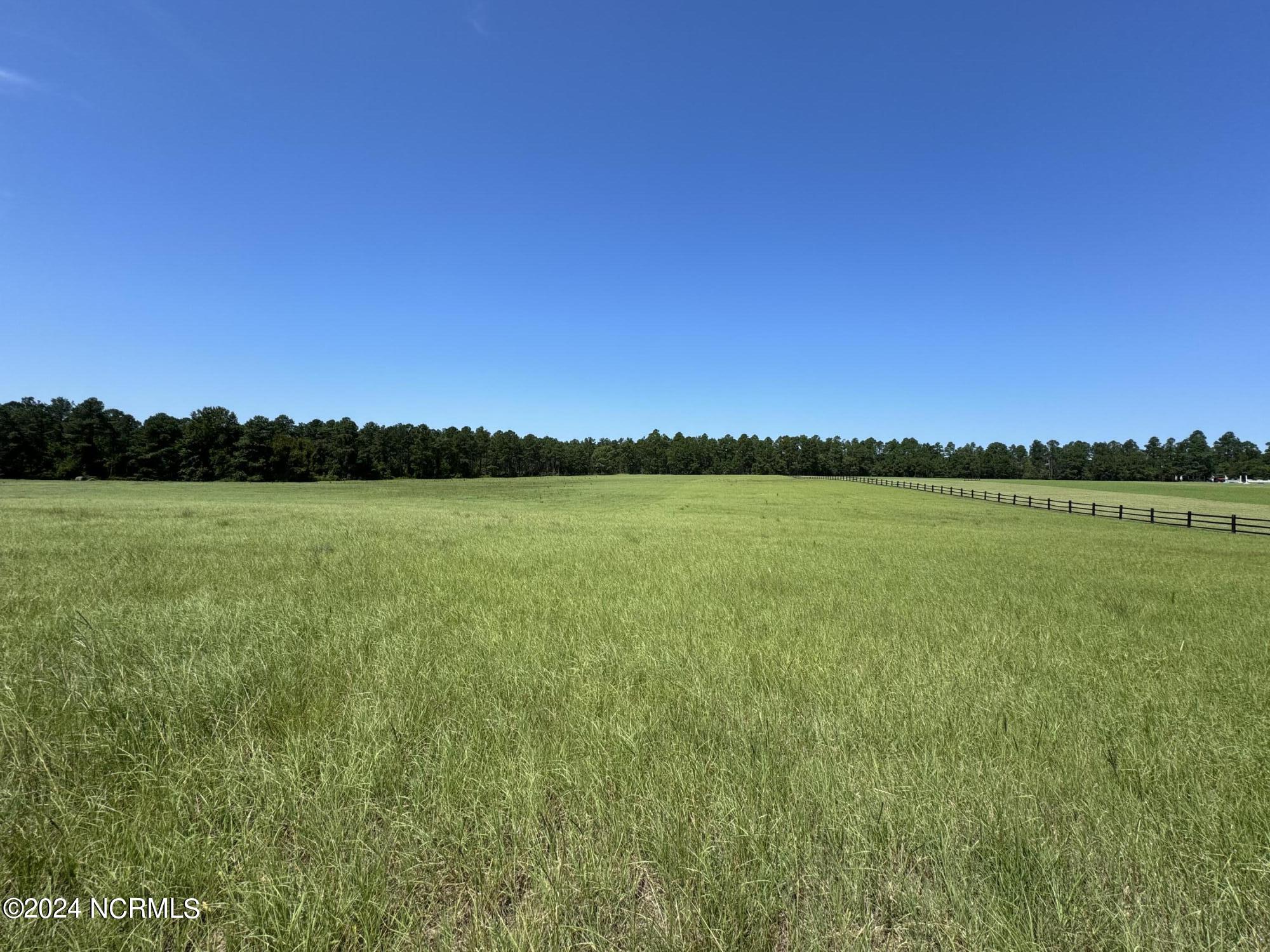 360 Grande Pines Vista Property Photo 4