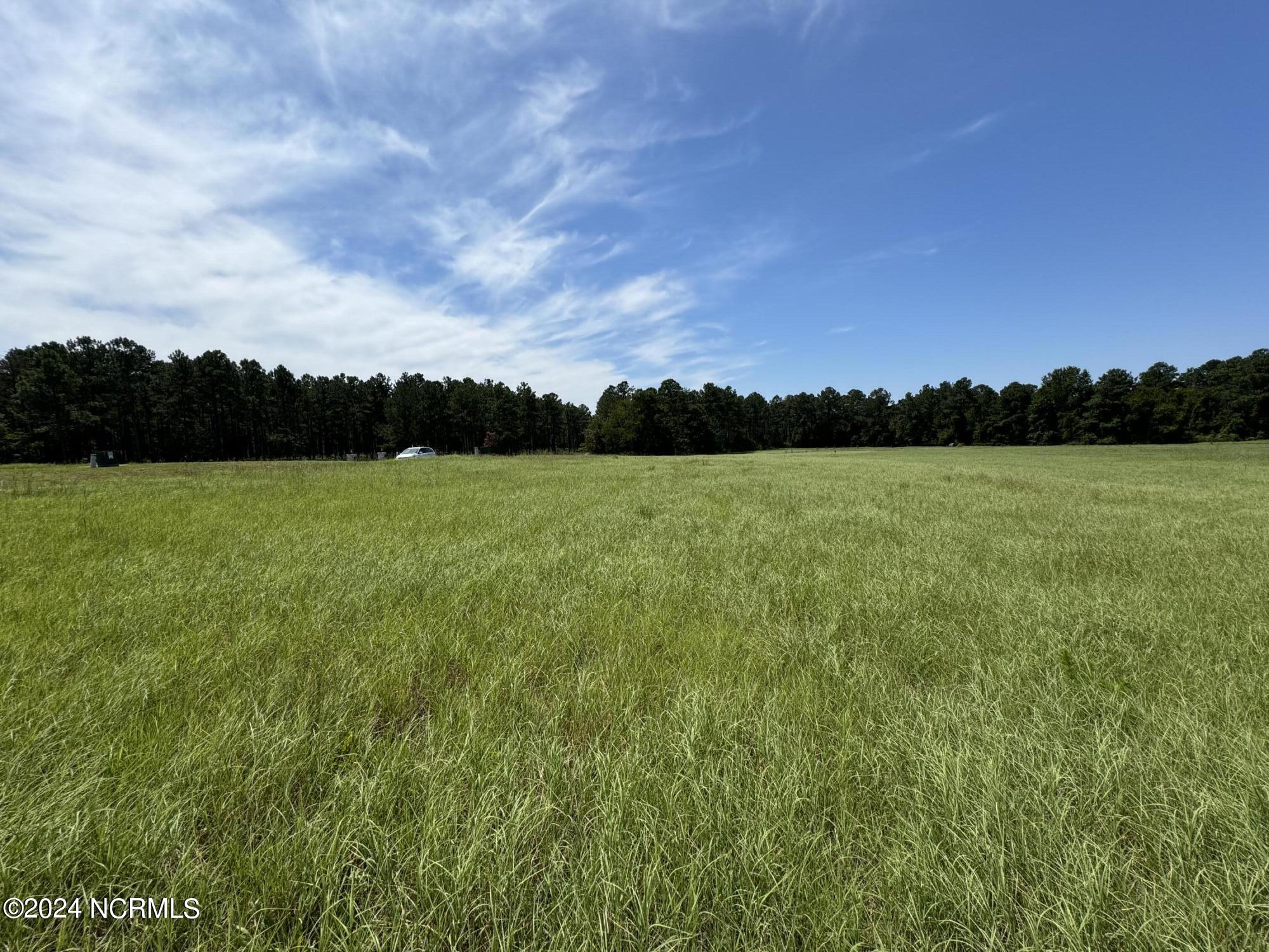 360 Grande Pines Vista Property Photo 5