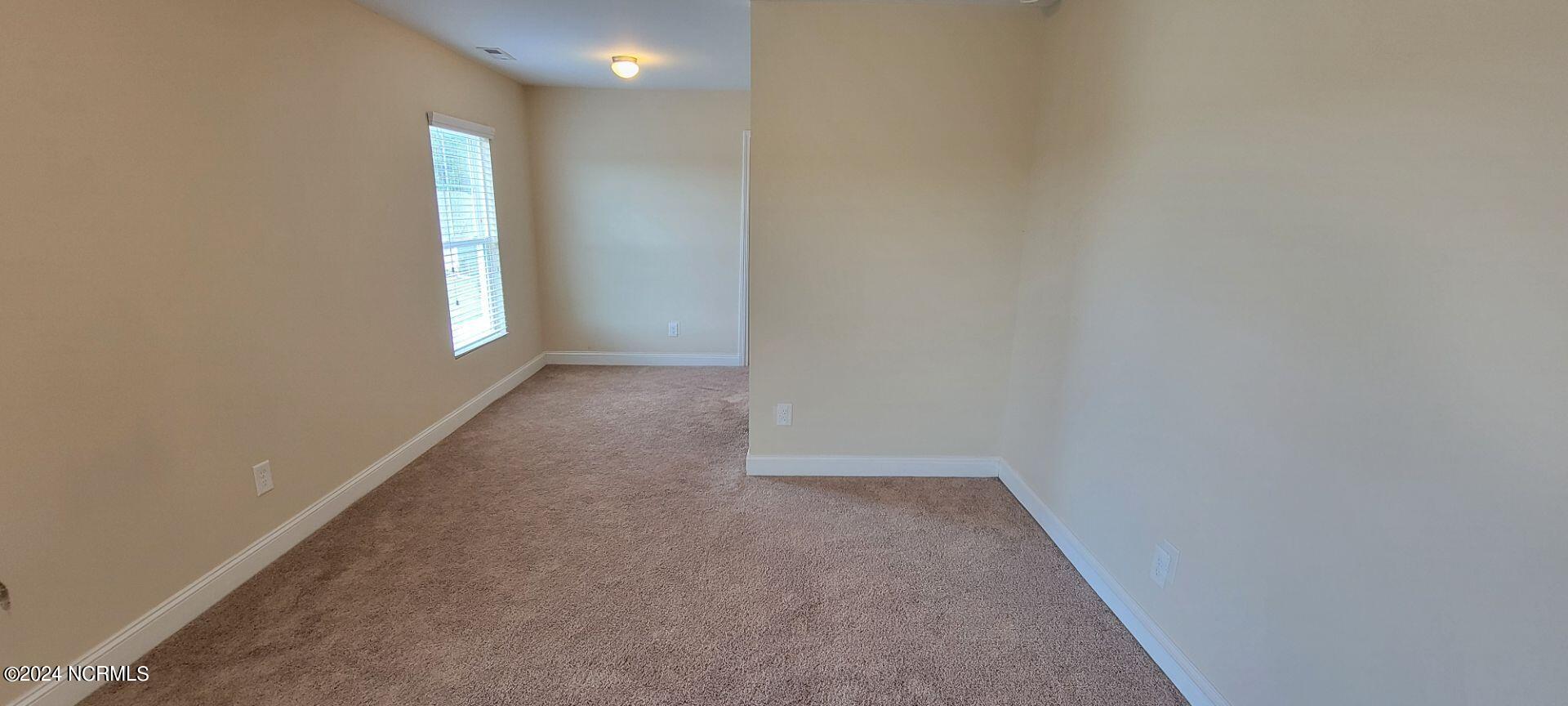 115 Mittams Point Drive Property Photo 16