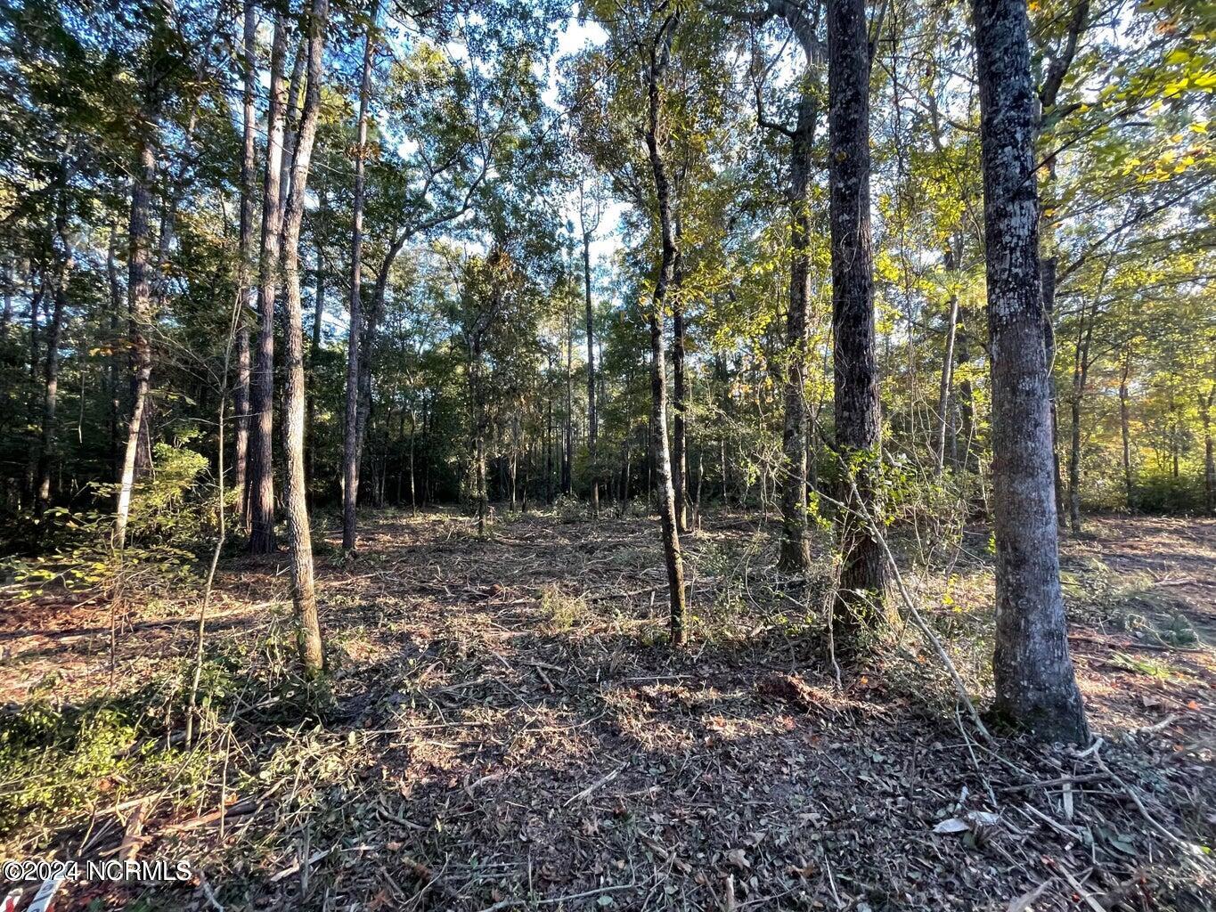 675 Eastwind Drive Property Photo 3