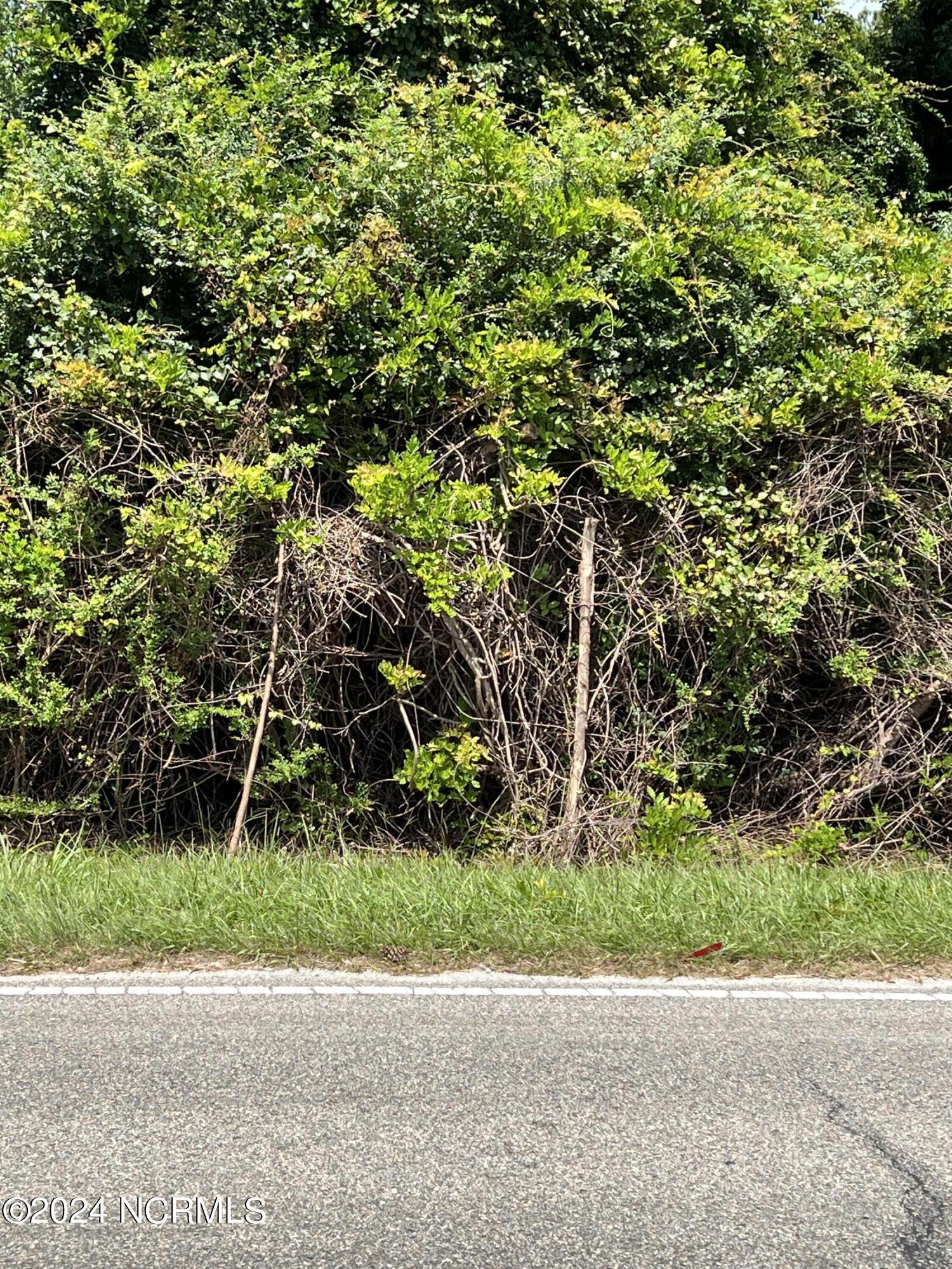 1/2lot #5 Near 1326 Chadbourn Highway Property Photo 2