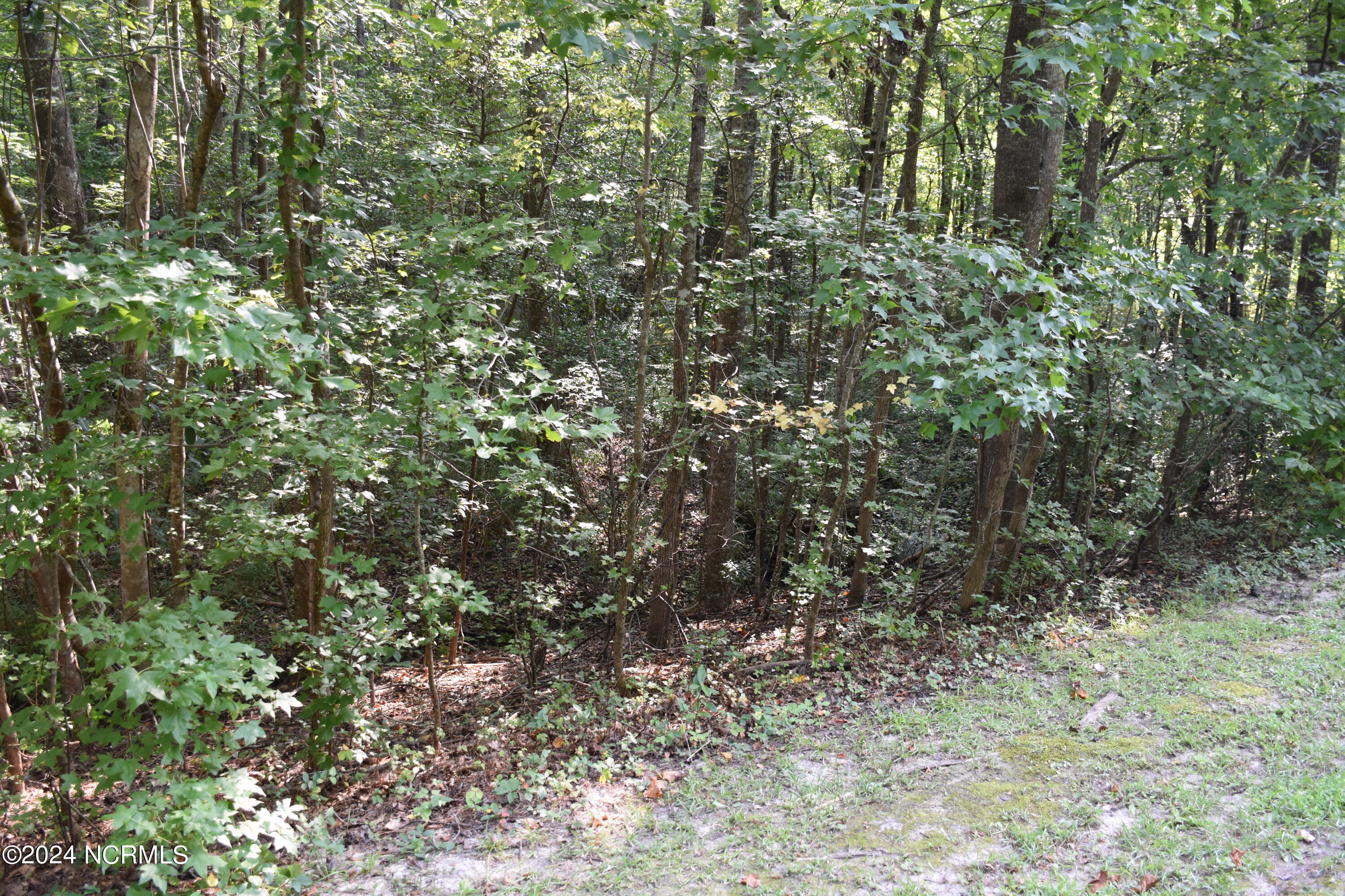 39 Hill Creek Road Property Photo 11