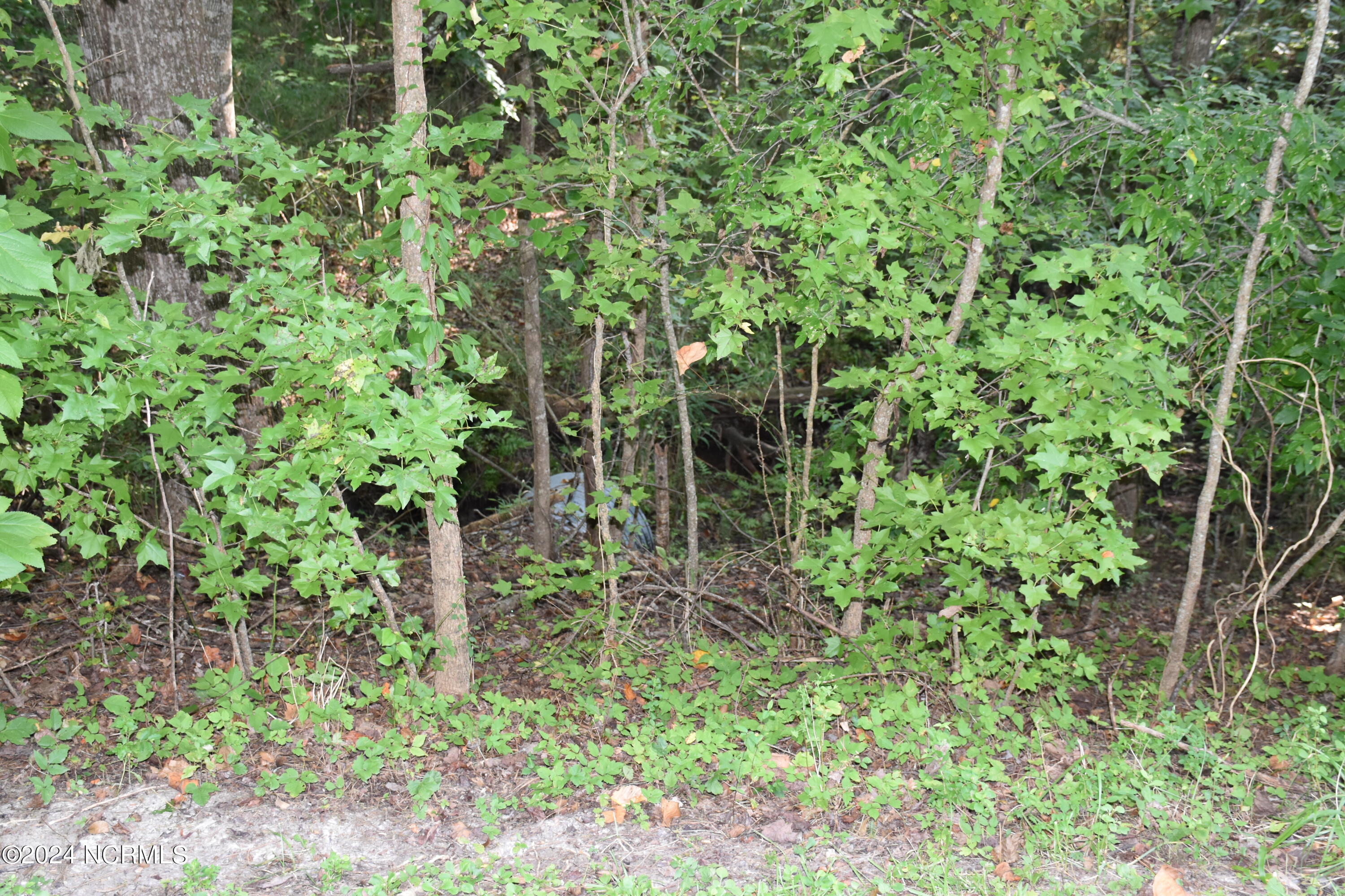 39 Hill Creek Road Property Photo 12