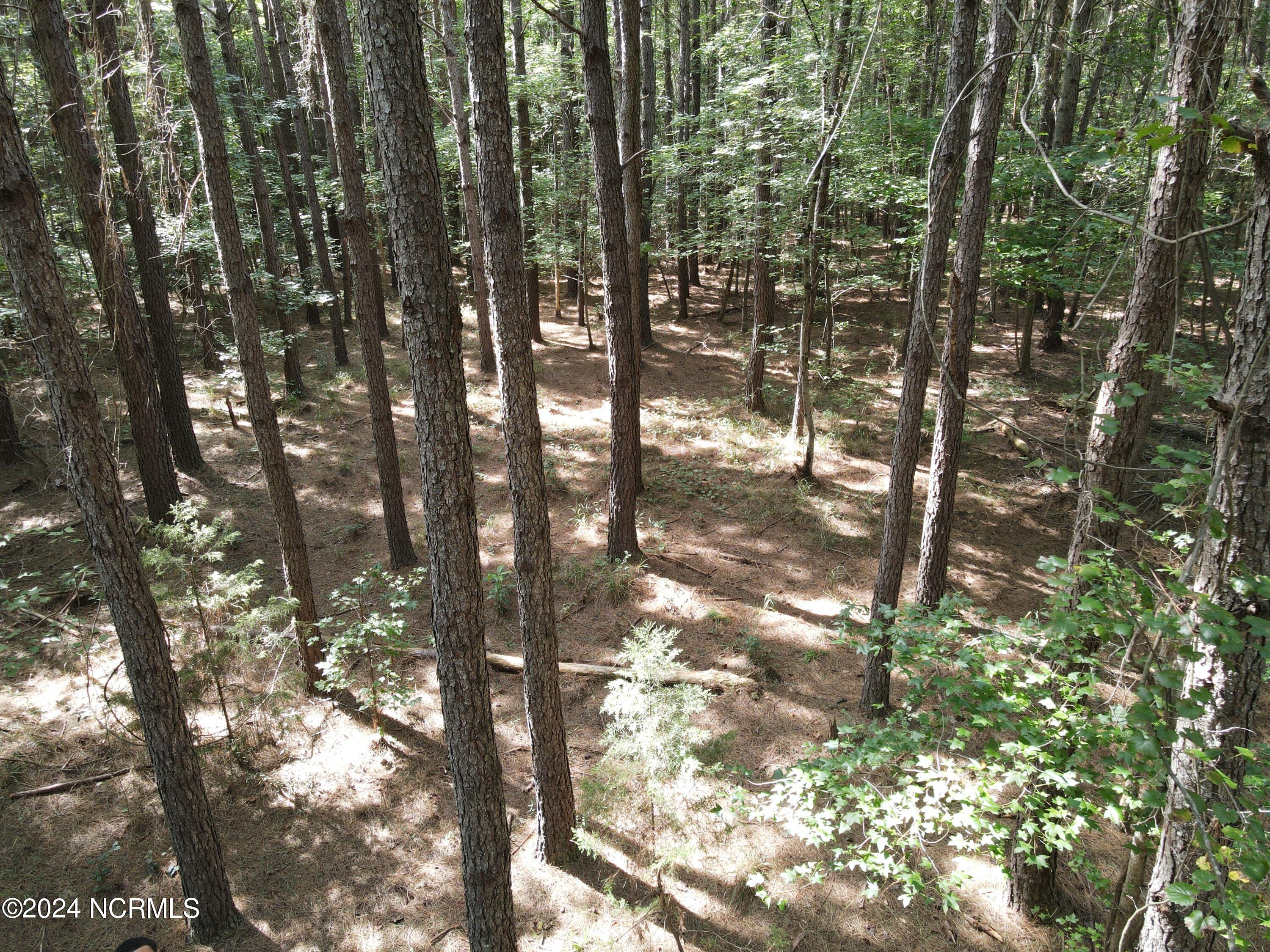 0 Red Oak Rd Road Property Photo 12