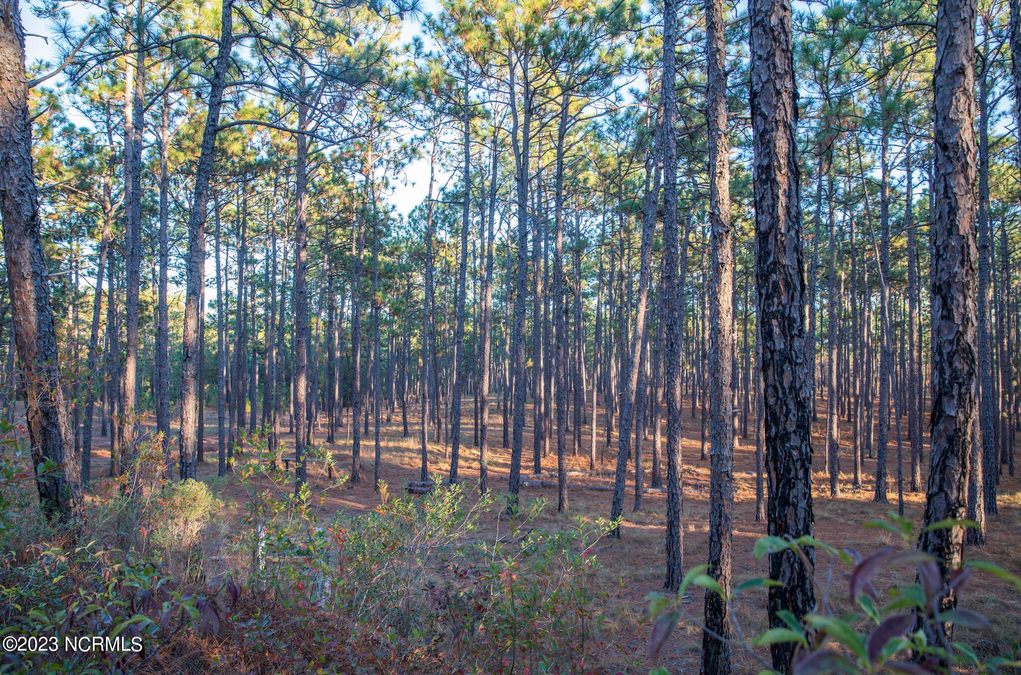 145 4 Pixie Moss Lane Property Photo 3