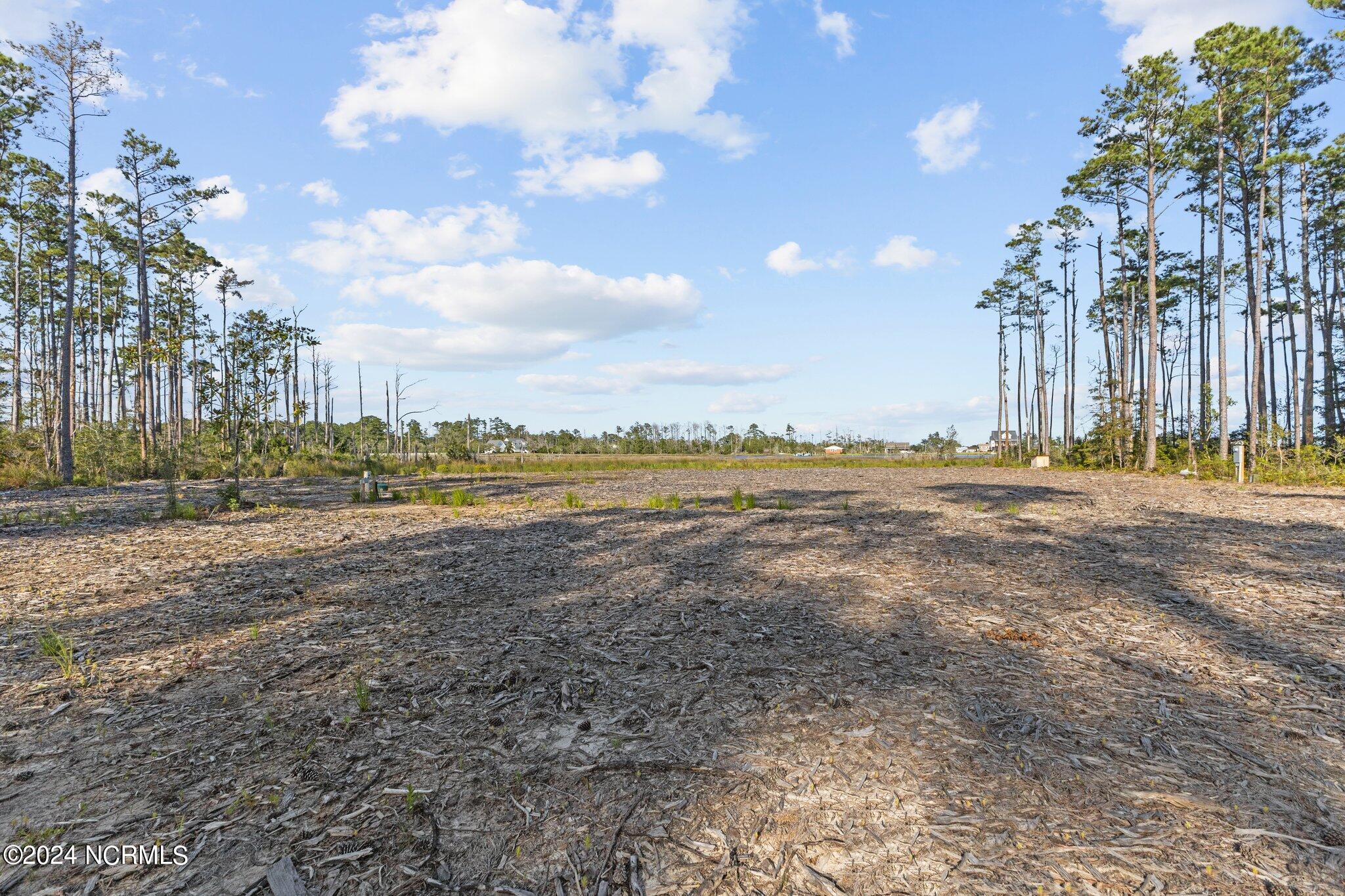280 Donnie Davis Road Property Photo 5