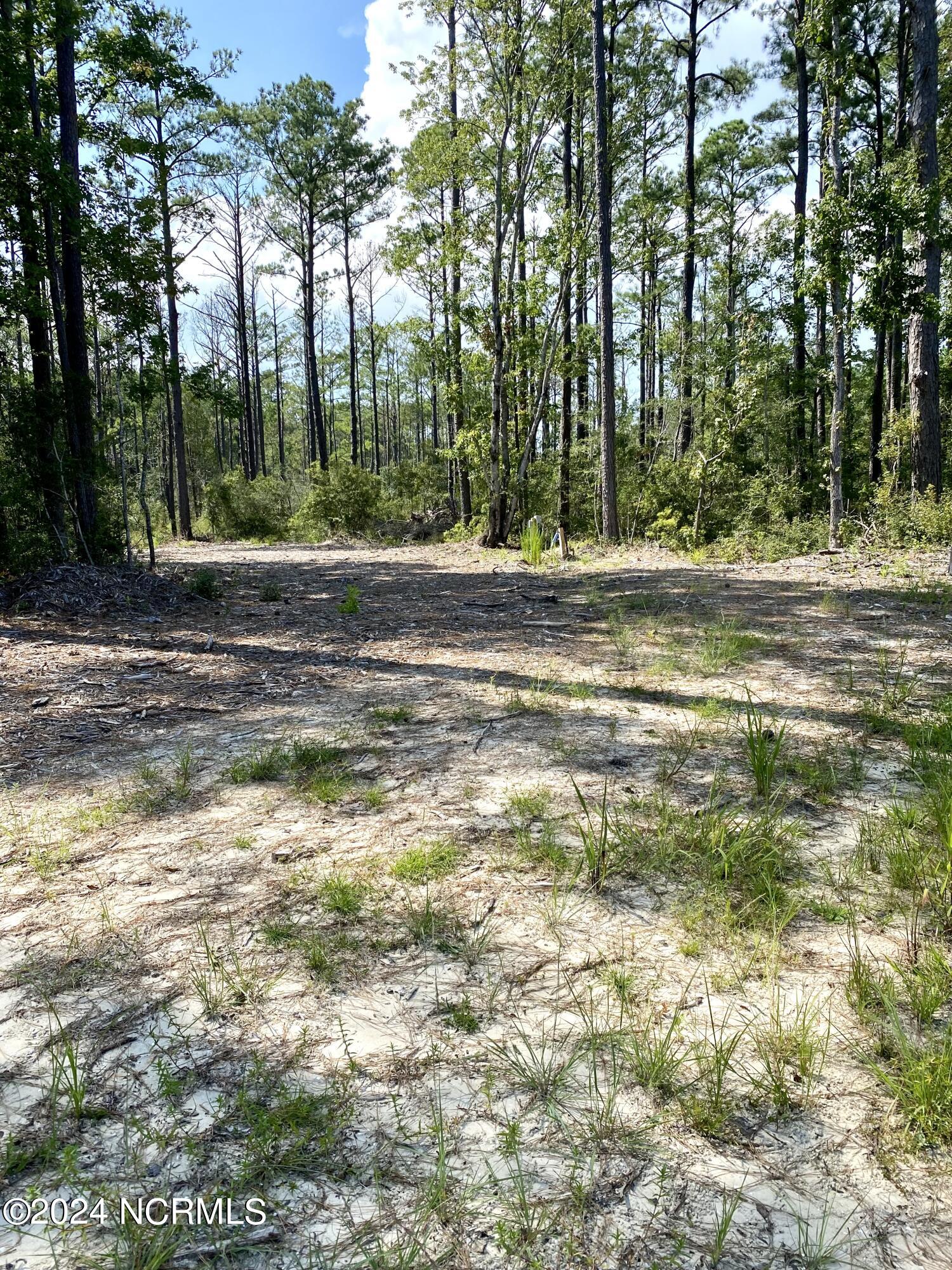 280 Donnie Davis Road Property Photo 12