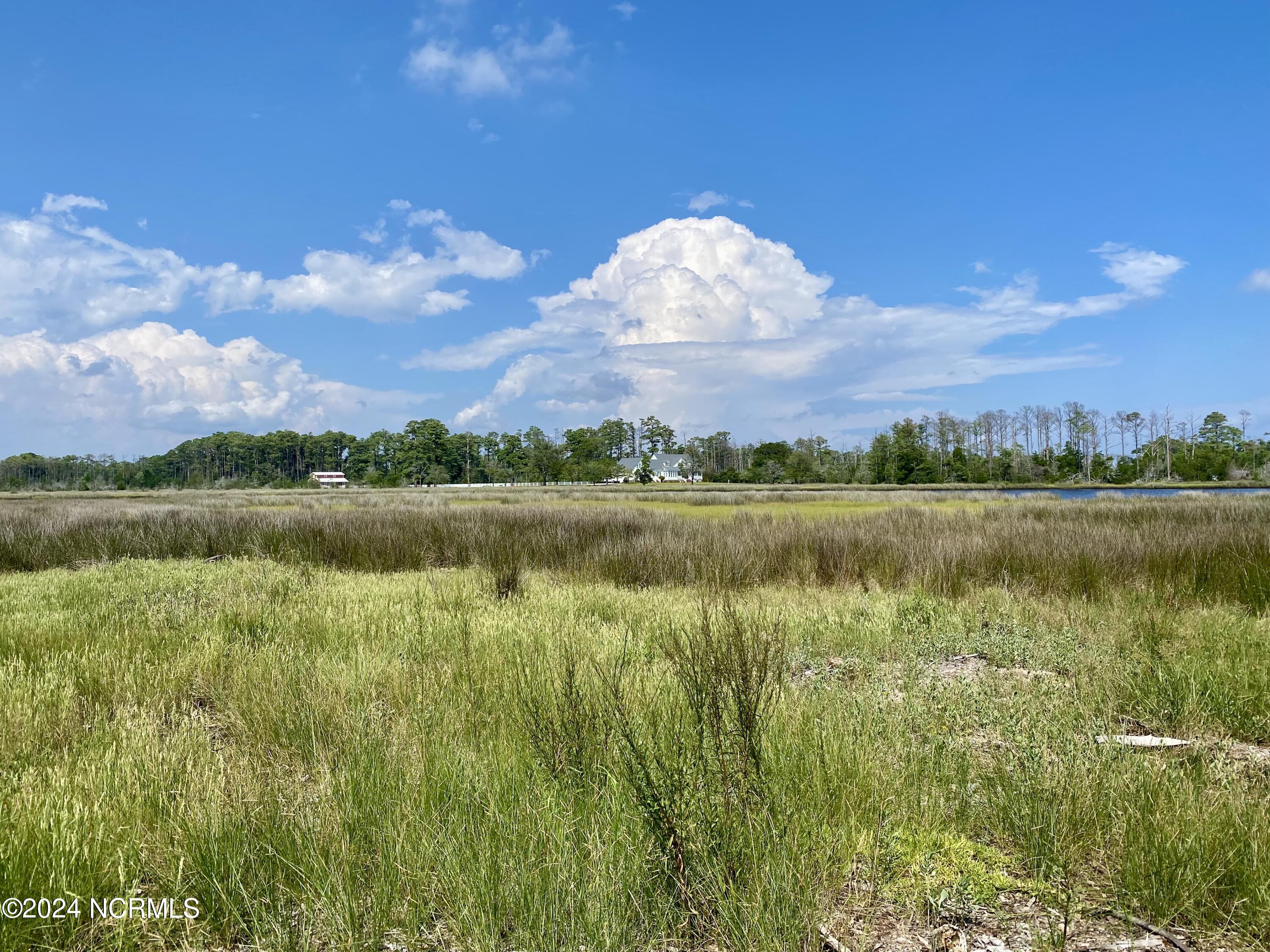 280 Donnie Davis Road Property Photo 15