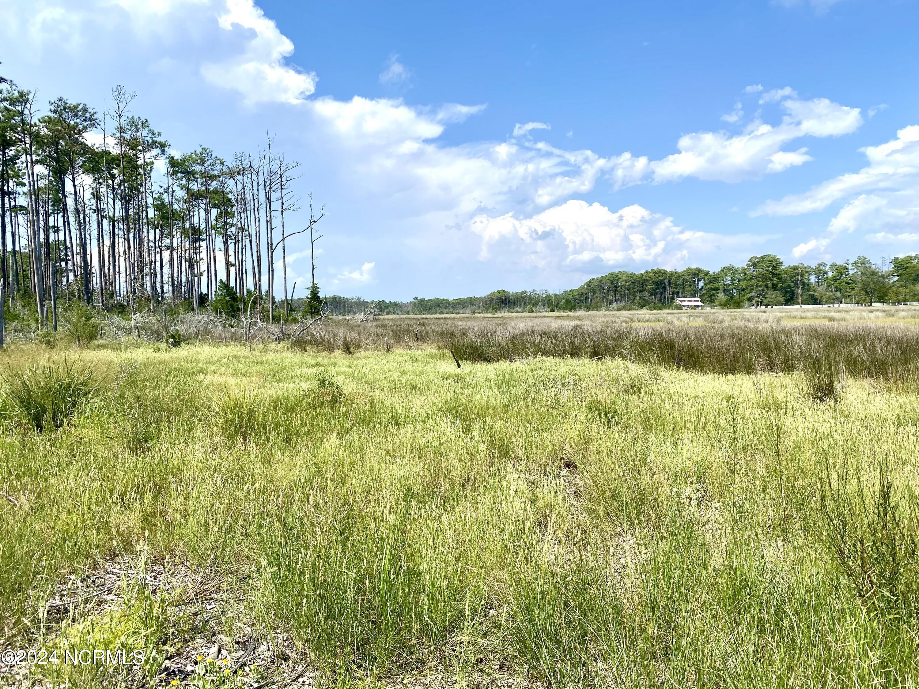 280 Donnie Davis Road Property Photo 18
