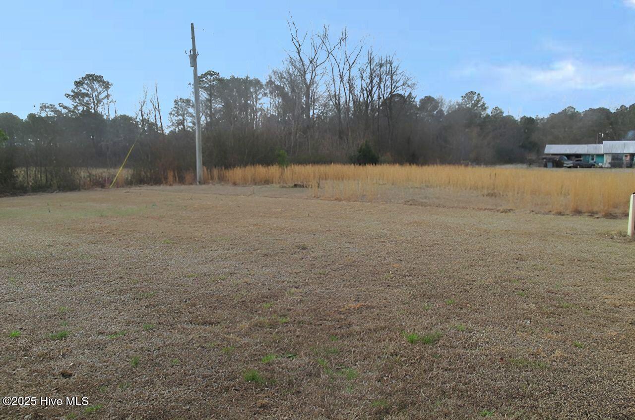 411 Carlonie Drive Property Photo 4