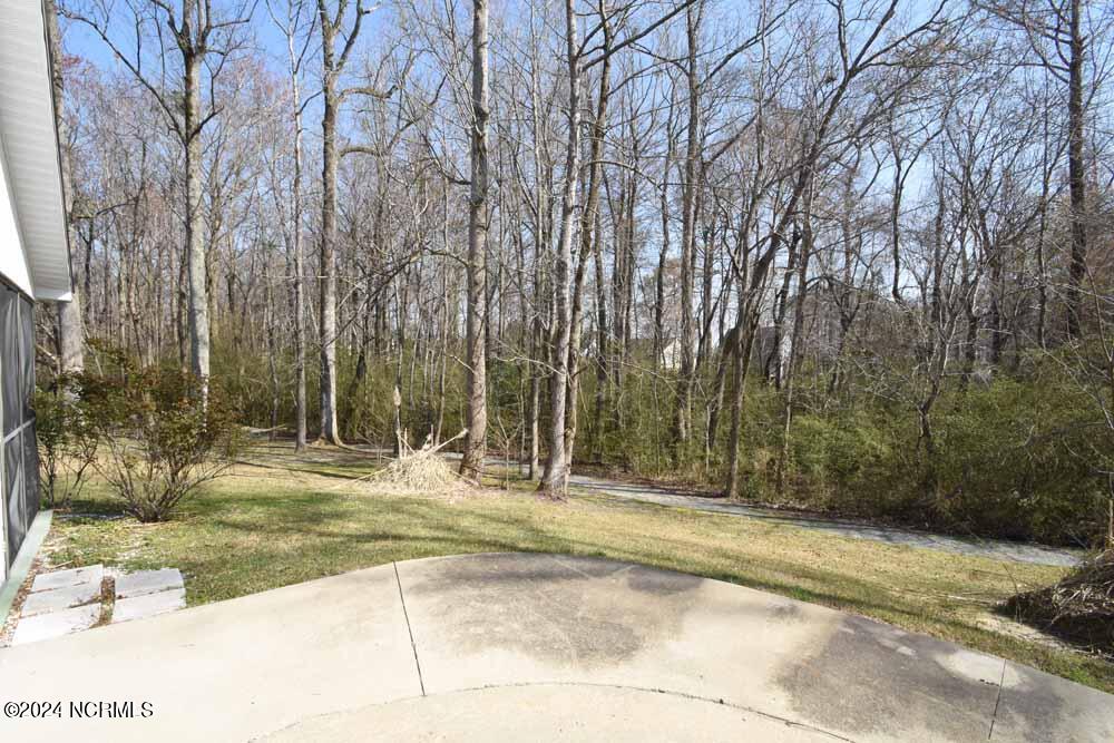 3608 Willow Run Drive Property Photo 29