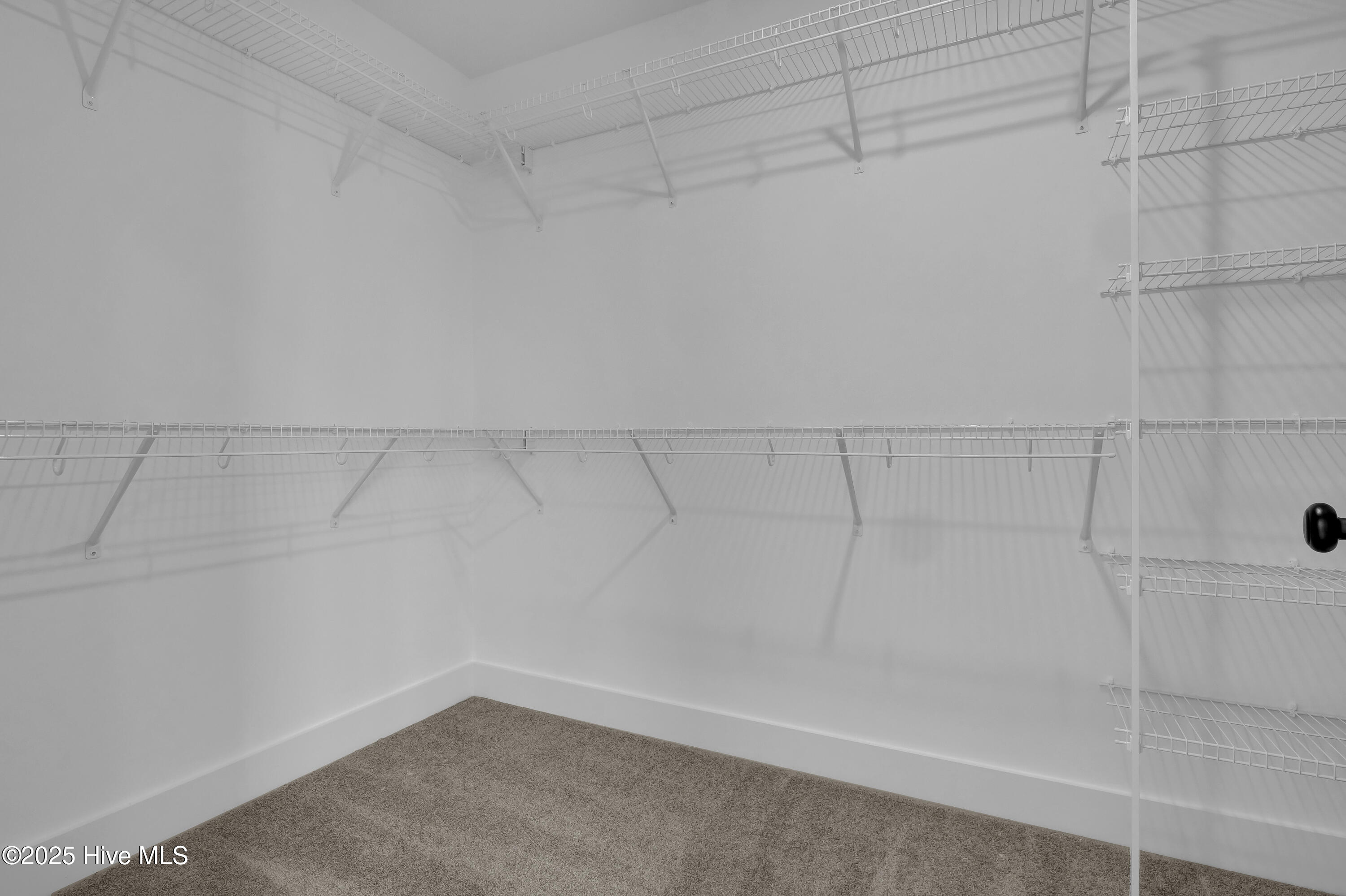 2153 Star Shower Way Lot 99 Property Photo 25