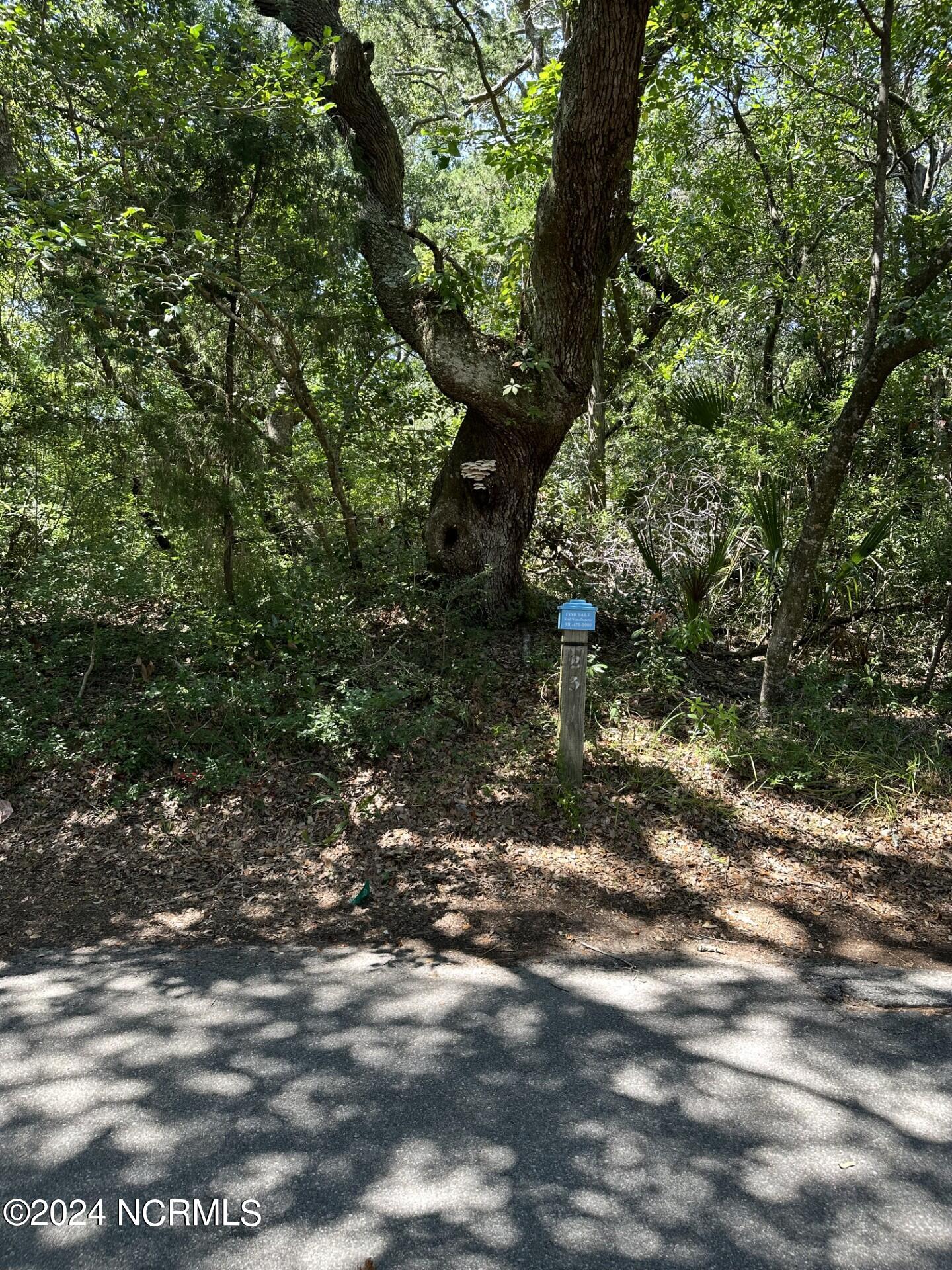 23 511 Three Flipper Trail Property Photo 1