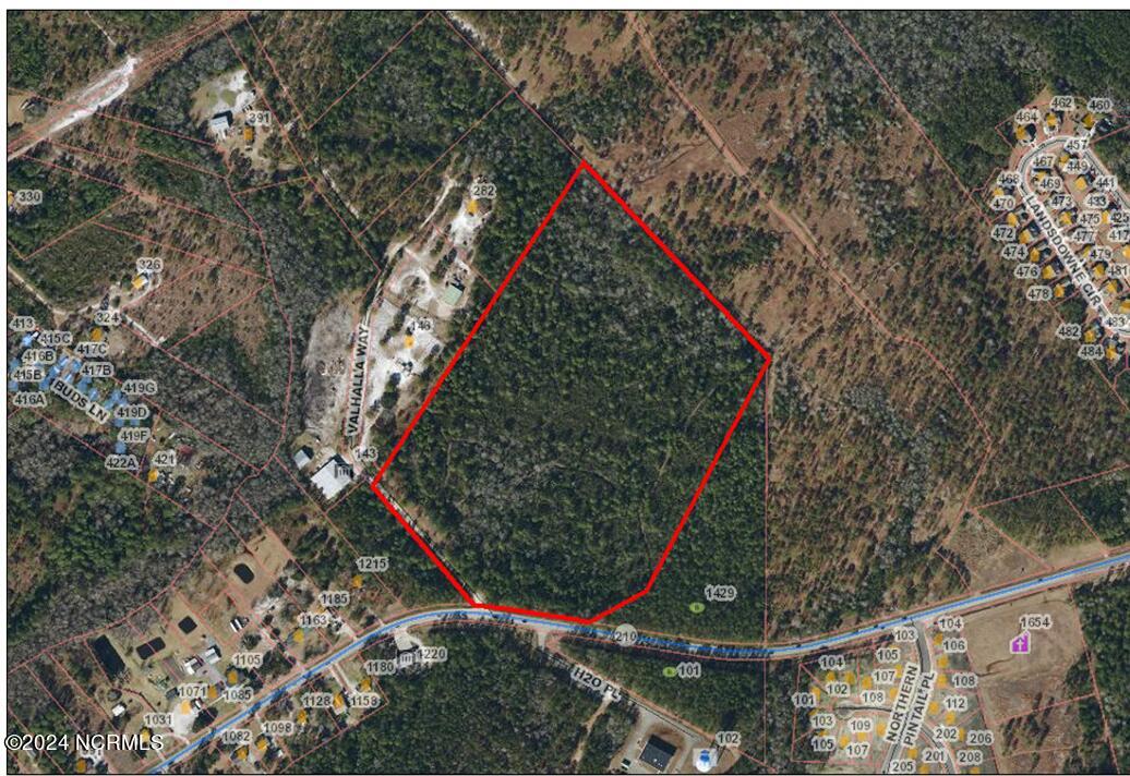 Tr 1 Nc Highway 210 Drive E Property Photo 1