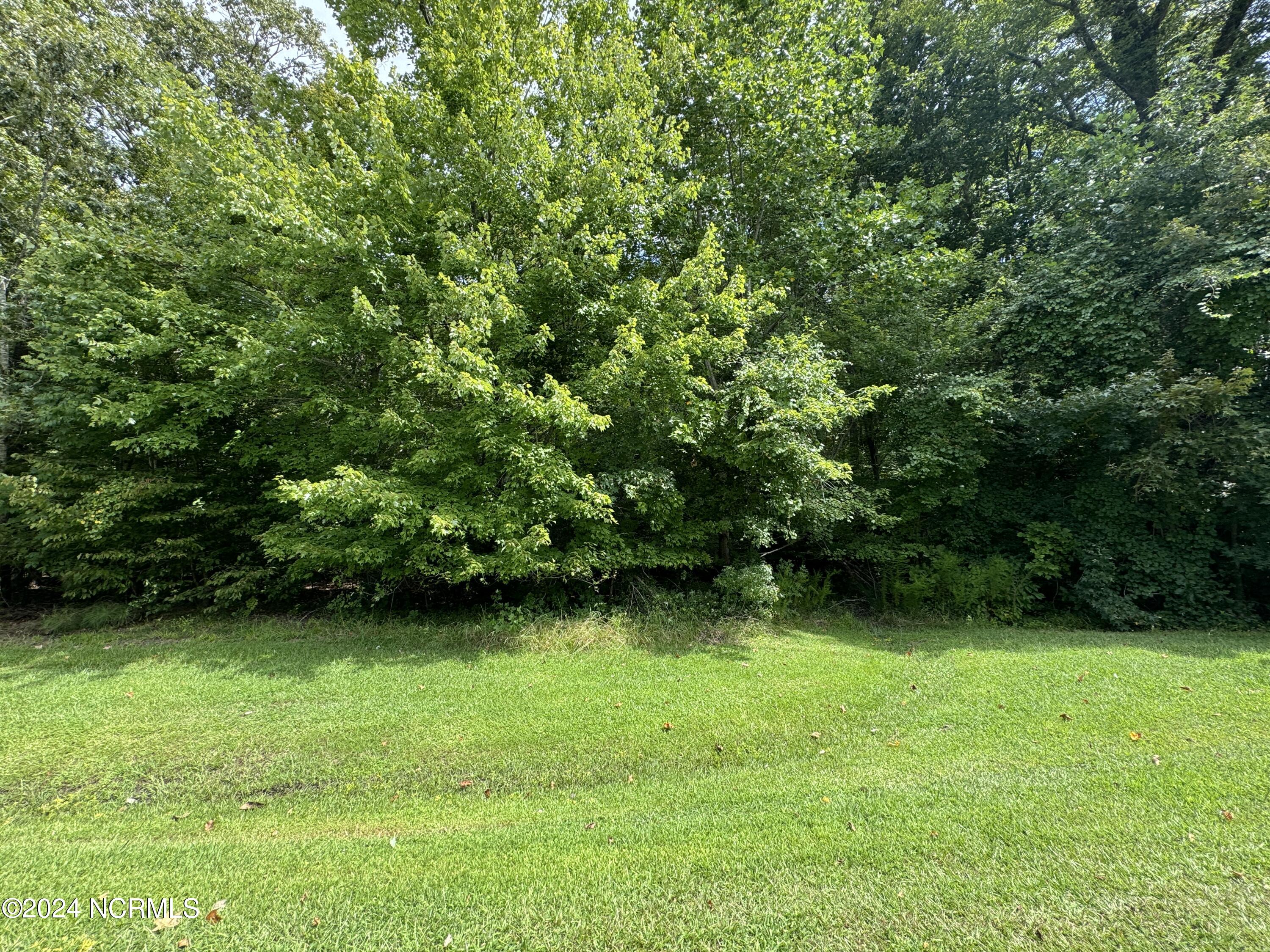 17 Broad River Drive Property Photo 2