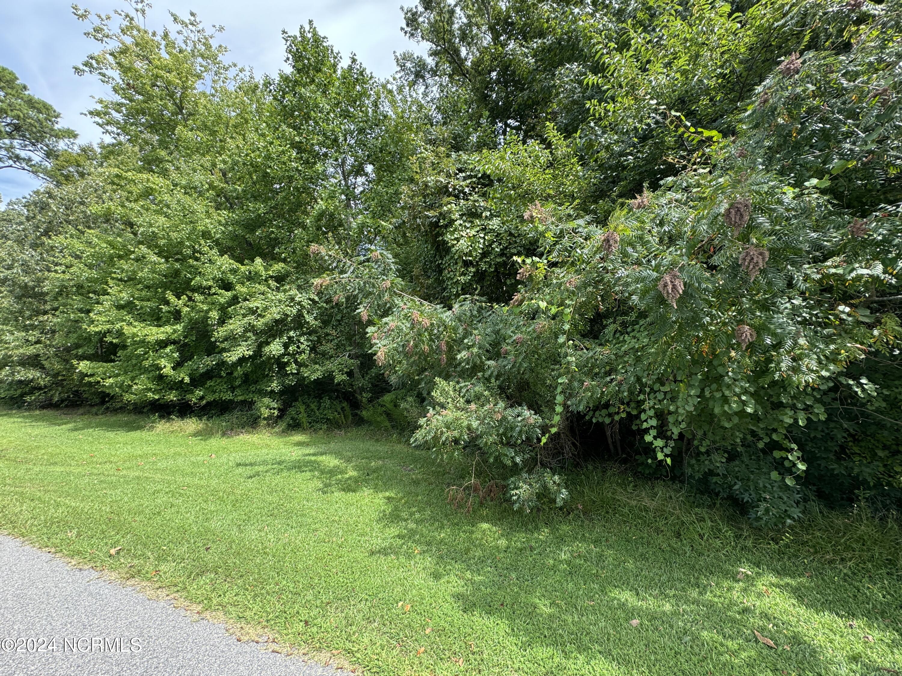 17 Broad River Drive Property Photo 3