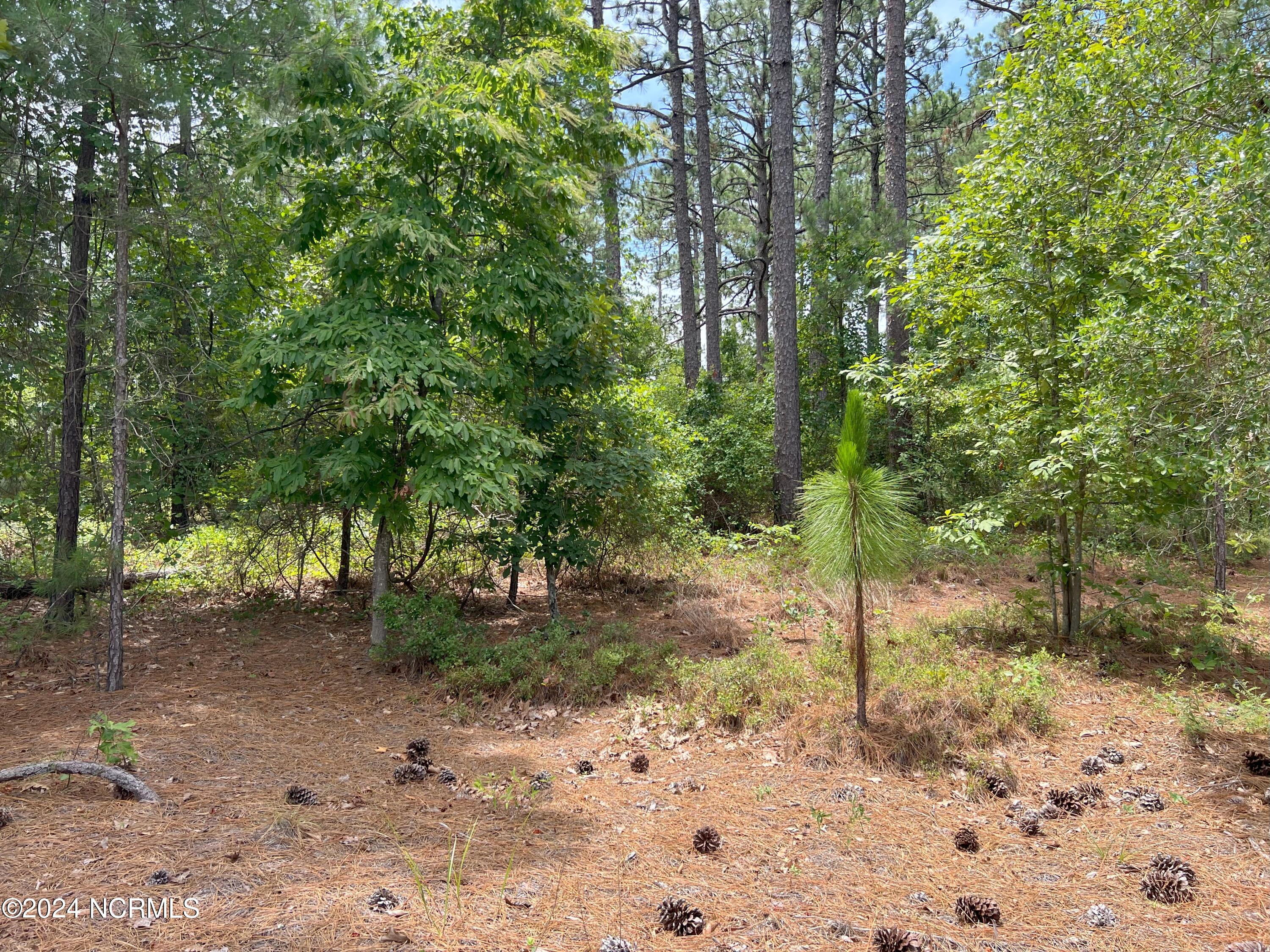 1b 1b Sandy Branch Lane Property Photo 1