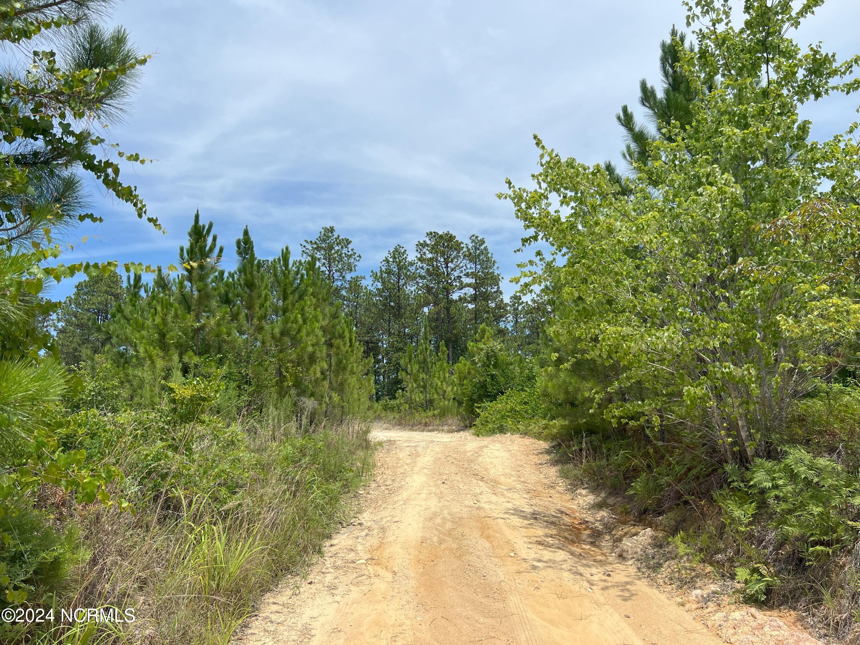 1b Sandy Branch Lane Property Photo 6