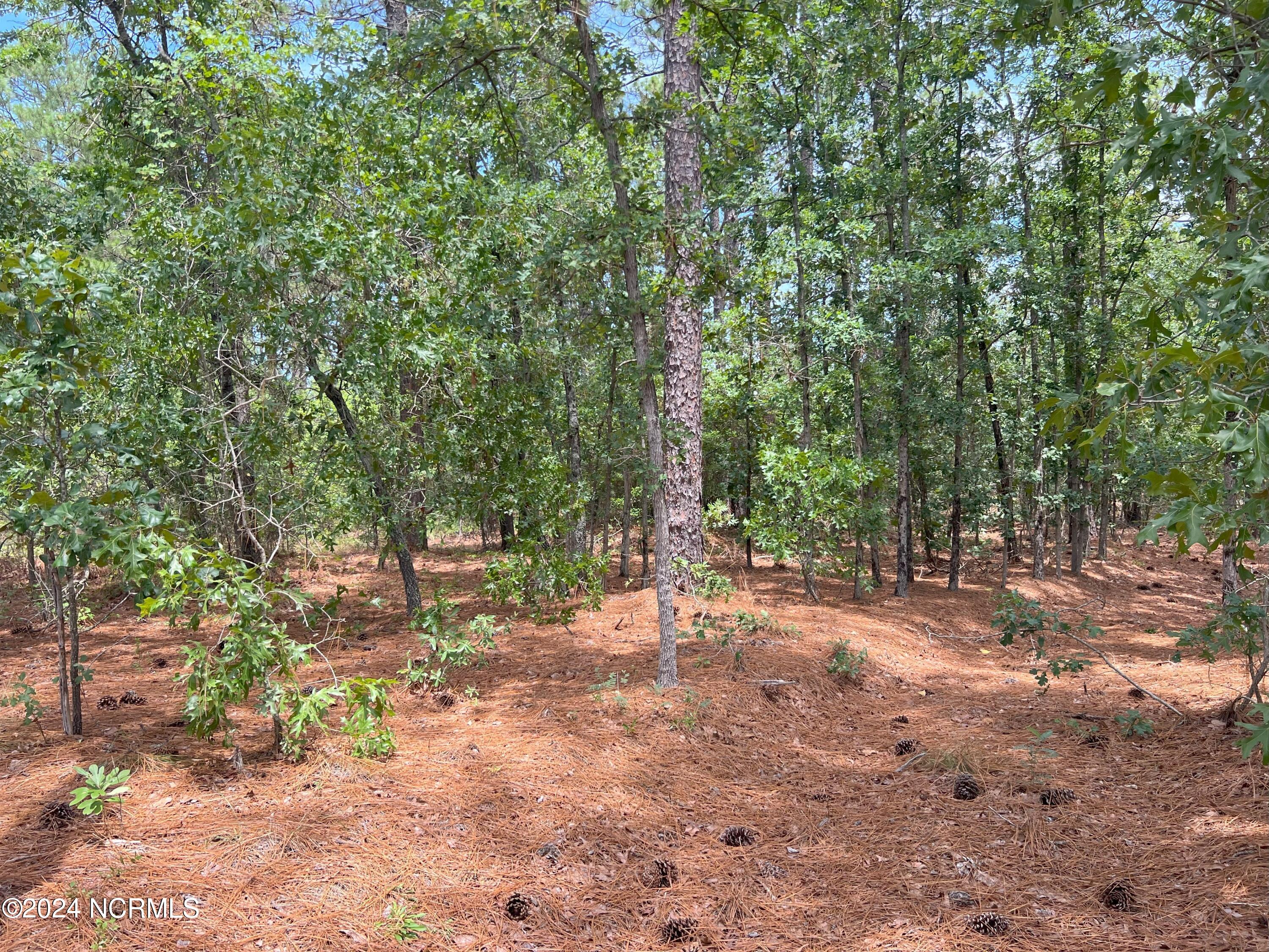 1b Sandy Branch Lane Property Photo 8