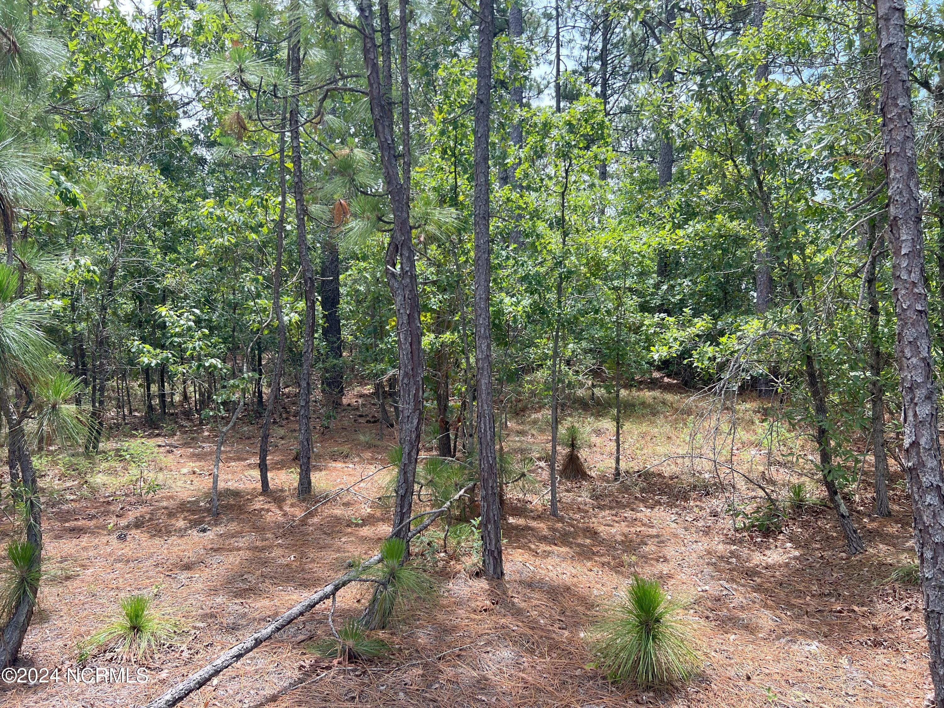 1b Sandy Branch Lane Property Photo 9