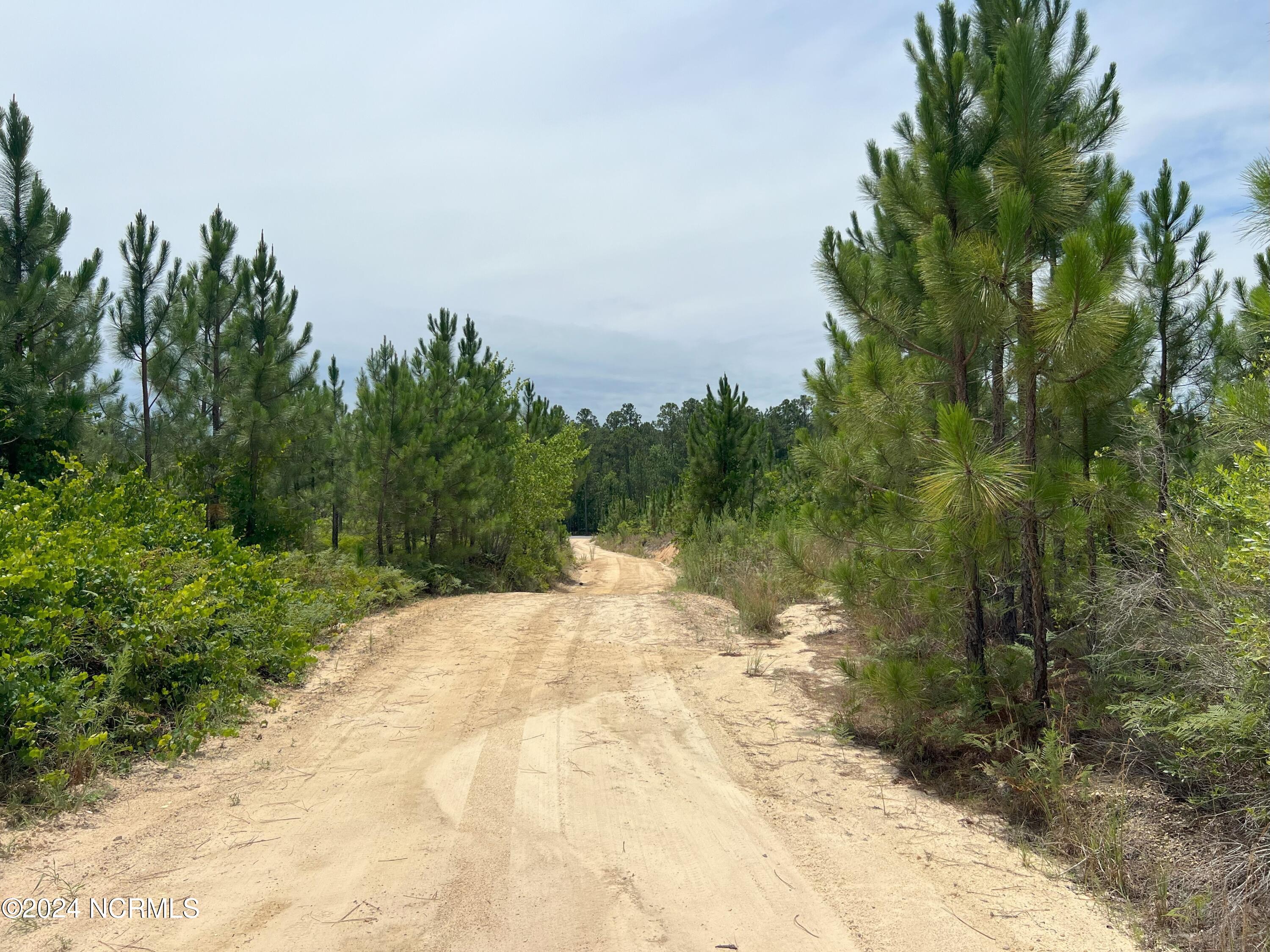 1b Sandy Branch Lane Property Photo 11