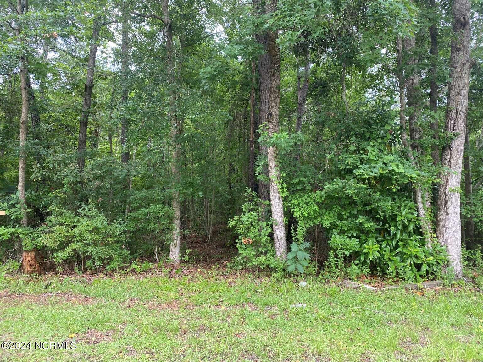 0 Lake Cole Road Property Photo 1