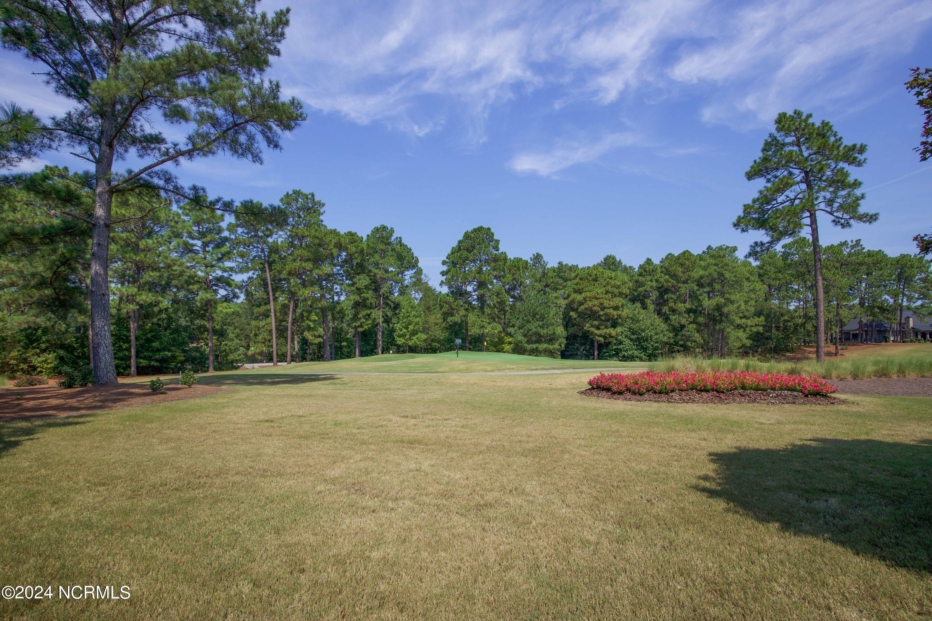 119 Saint Mellions Drive Property Photo 128
